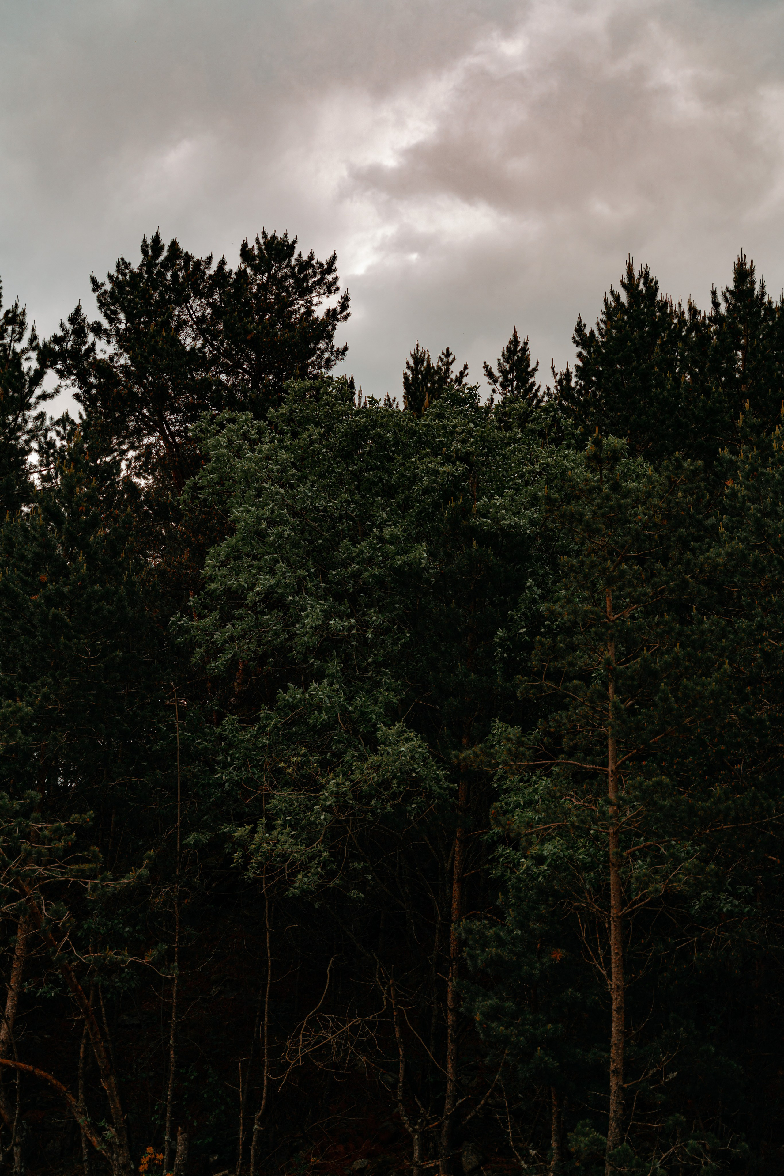 Пейзаж. Фотограф Кантемир Бараов