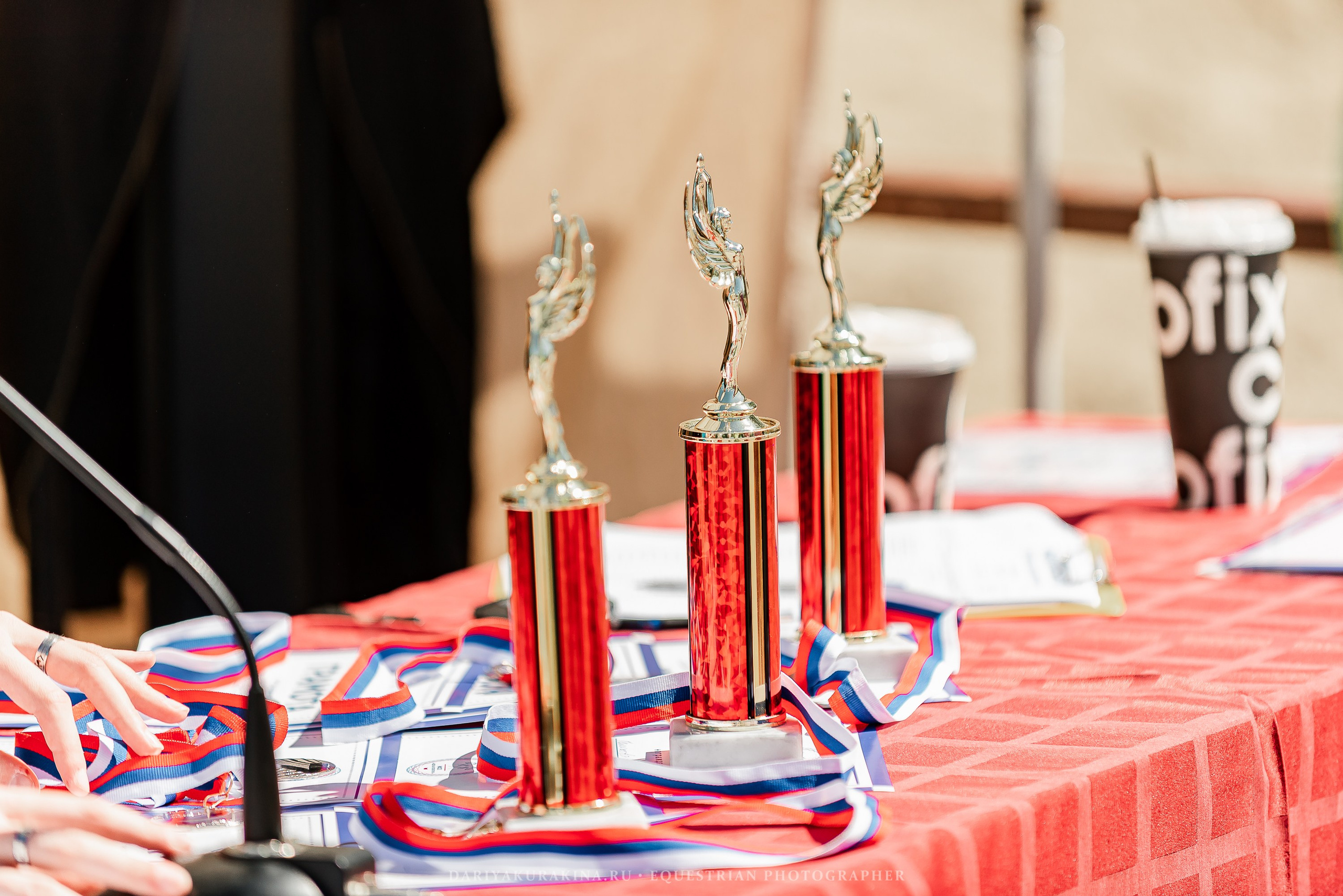 #ПОНИФОРУМ 2024. Конный фотограф Куракина Дарья • Фотосессии с лошадьми