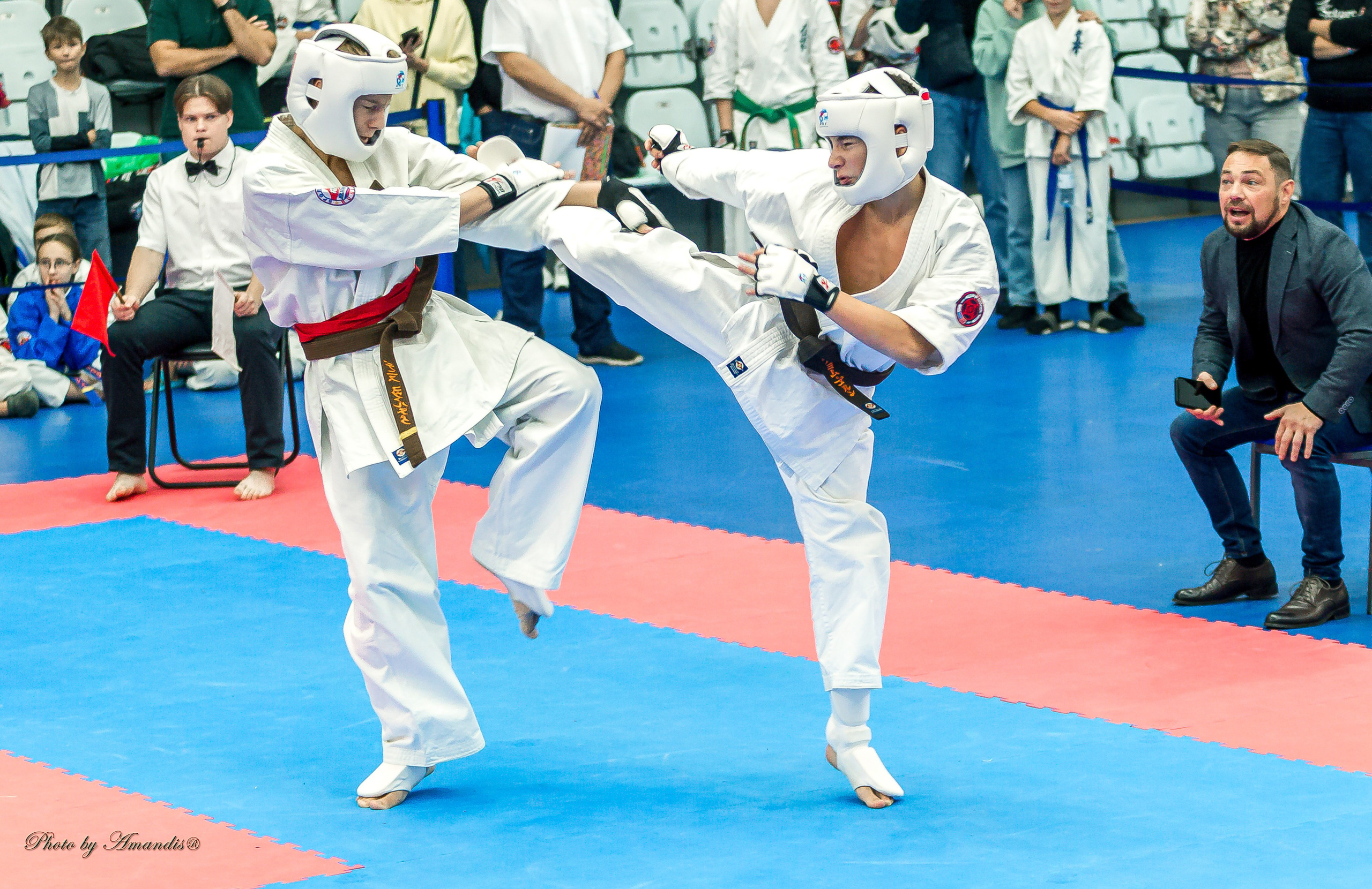 Чемпионат по Киокушинкай Центрального Федерального округа. Репортажная съемка в Москве и области. Анималистика