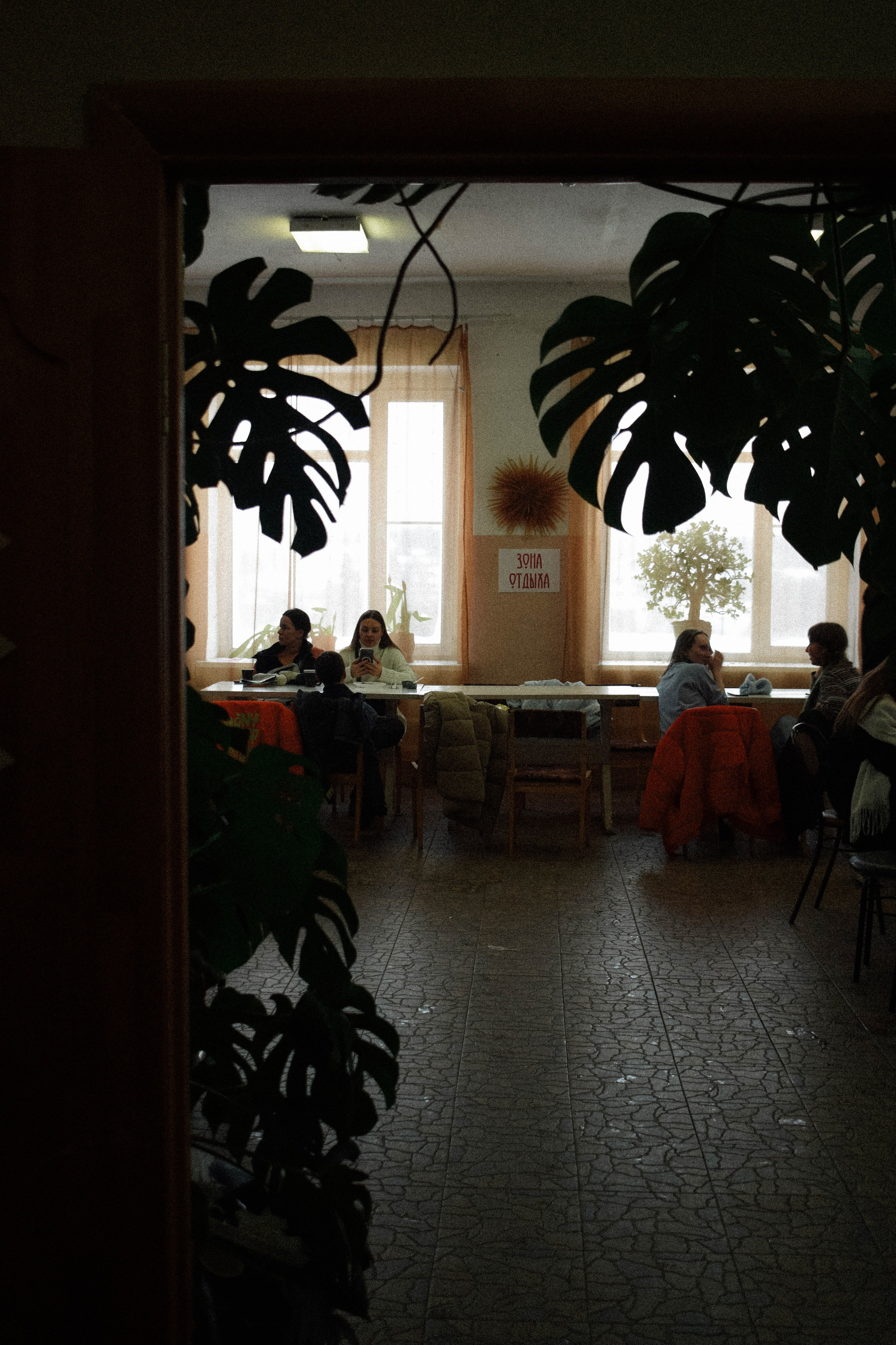 Мероприятия. Соня Мнема