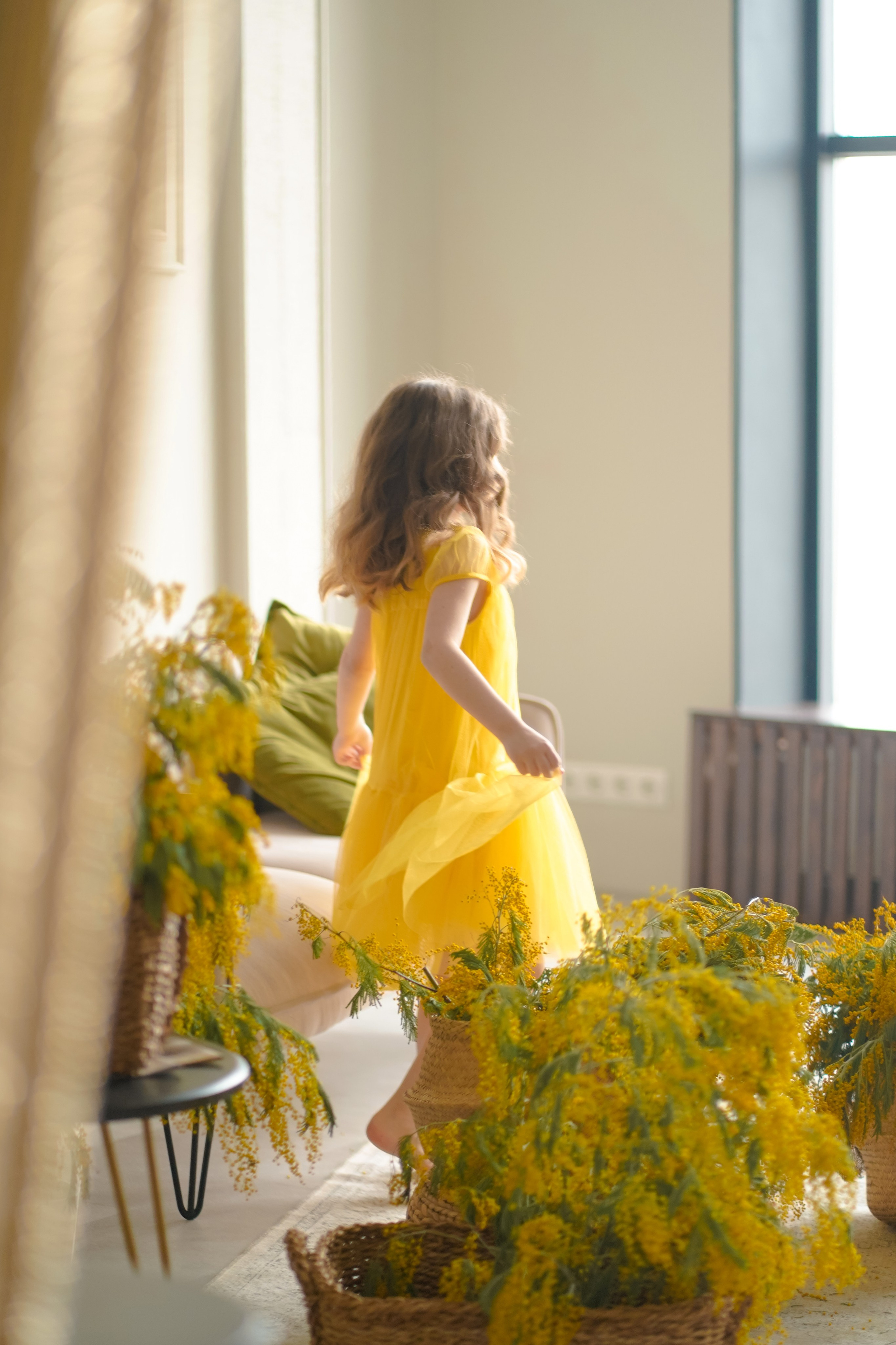 Мимоза. Фотограф Татьяна Митрофанова