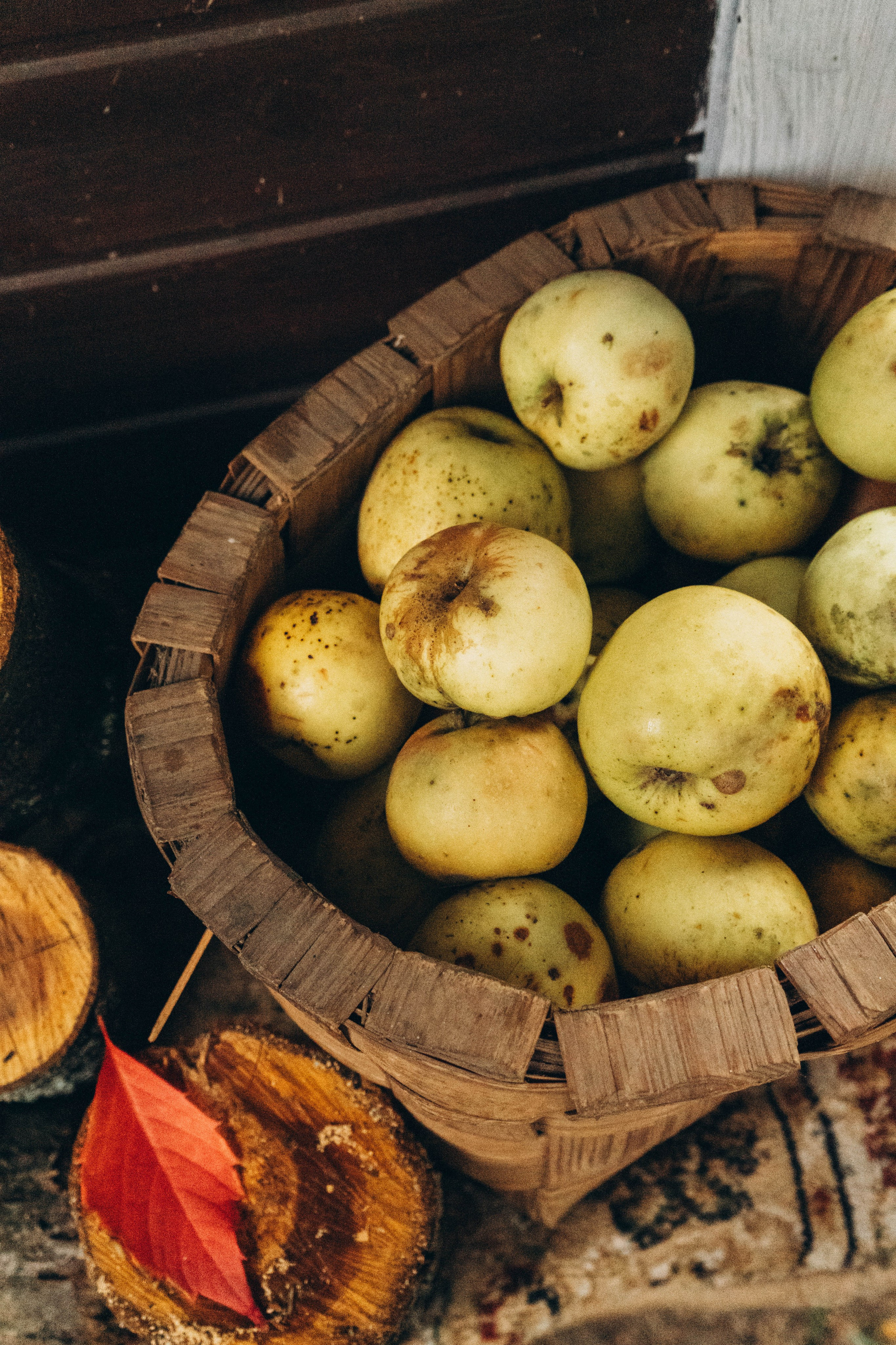 Съемка студии «Аж уютно». Фотограф Москва Валерия Веденина