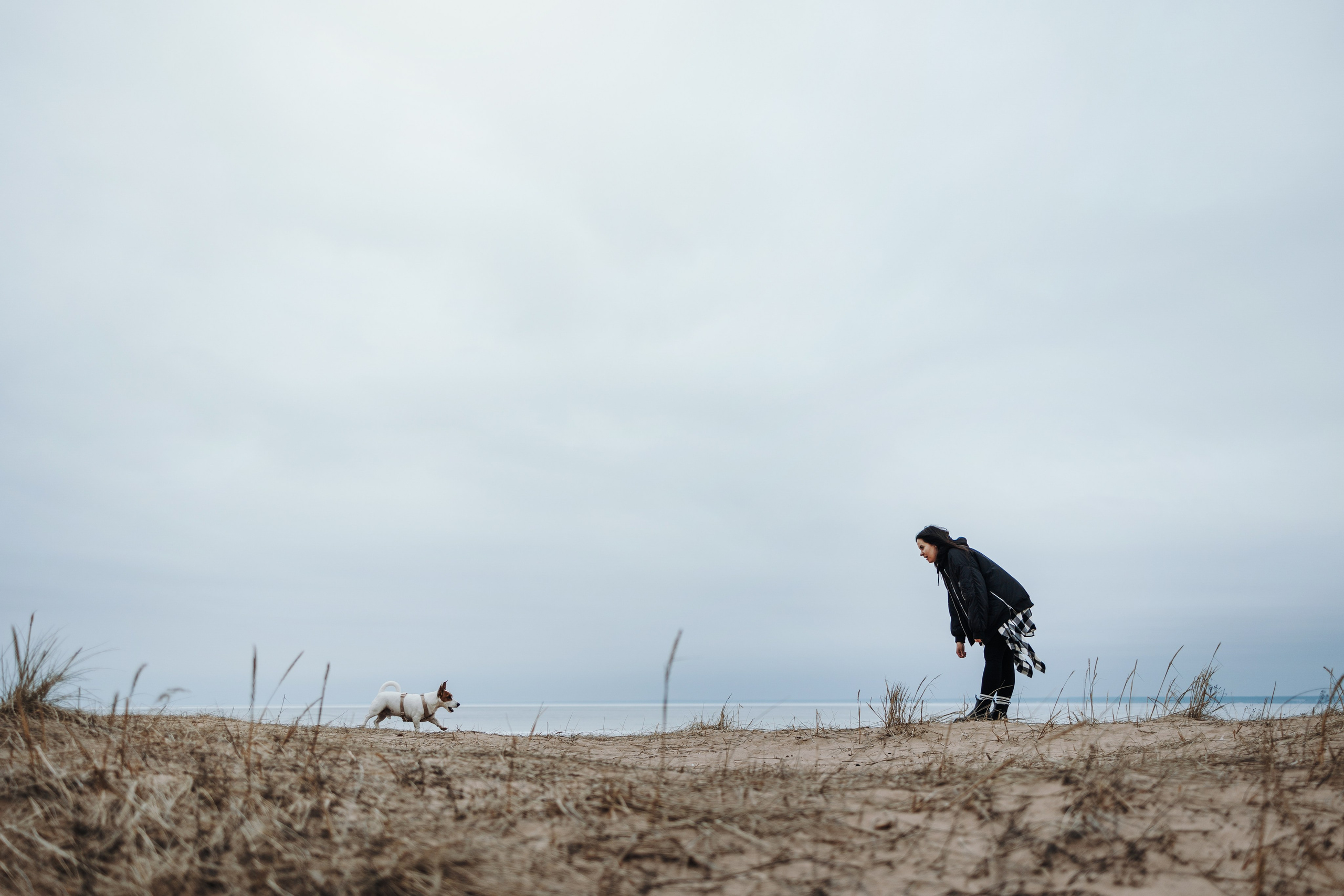 Саша и Джеки. Фотограф — Анималист | Санкт-Петербург