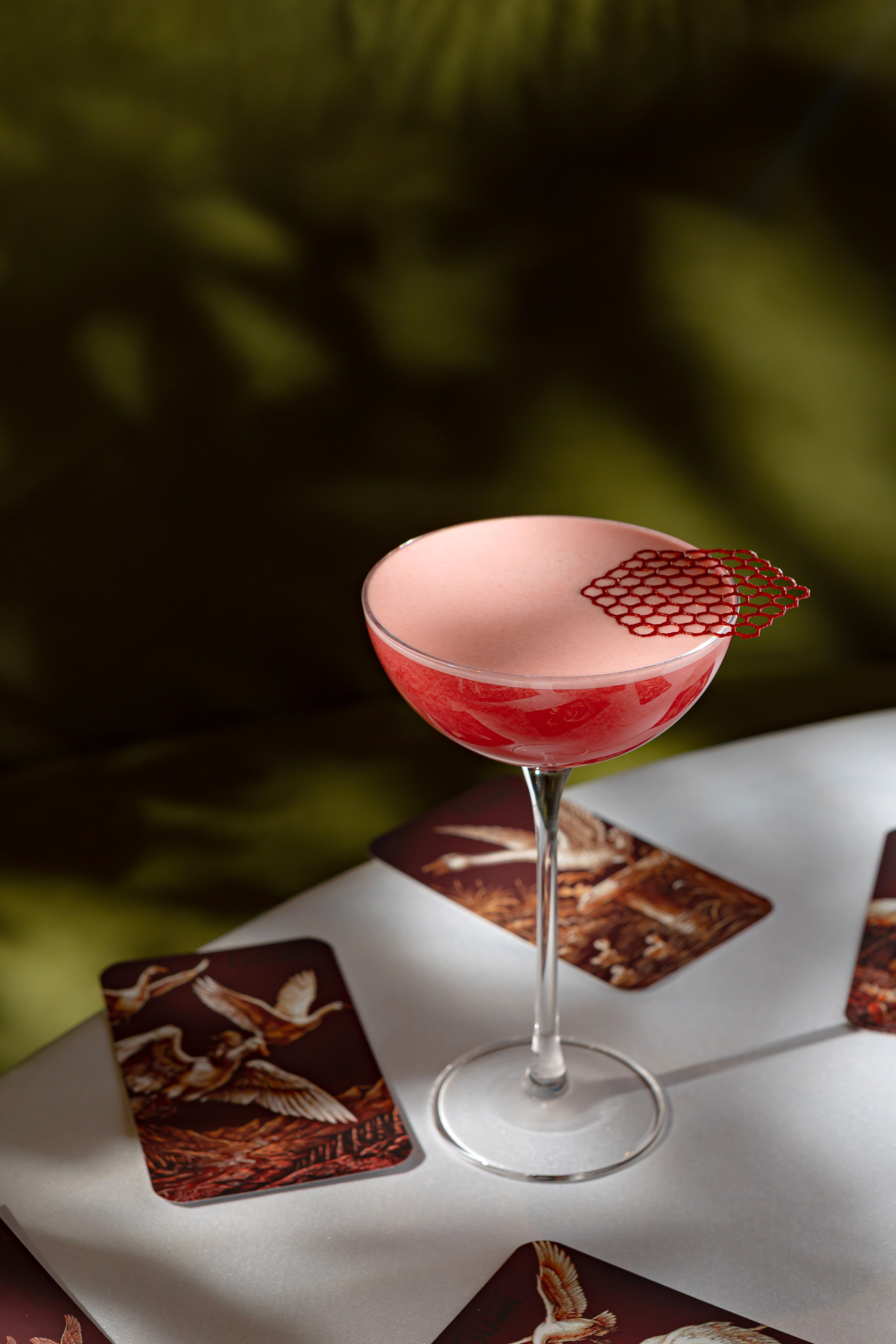 GUSSI. Фотограф Агеева Мария