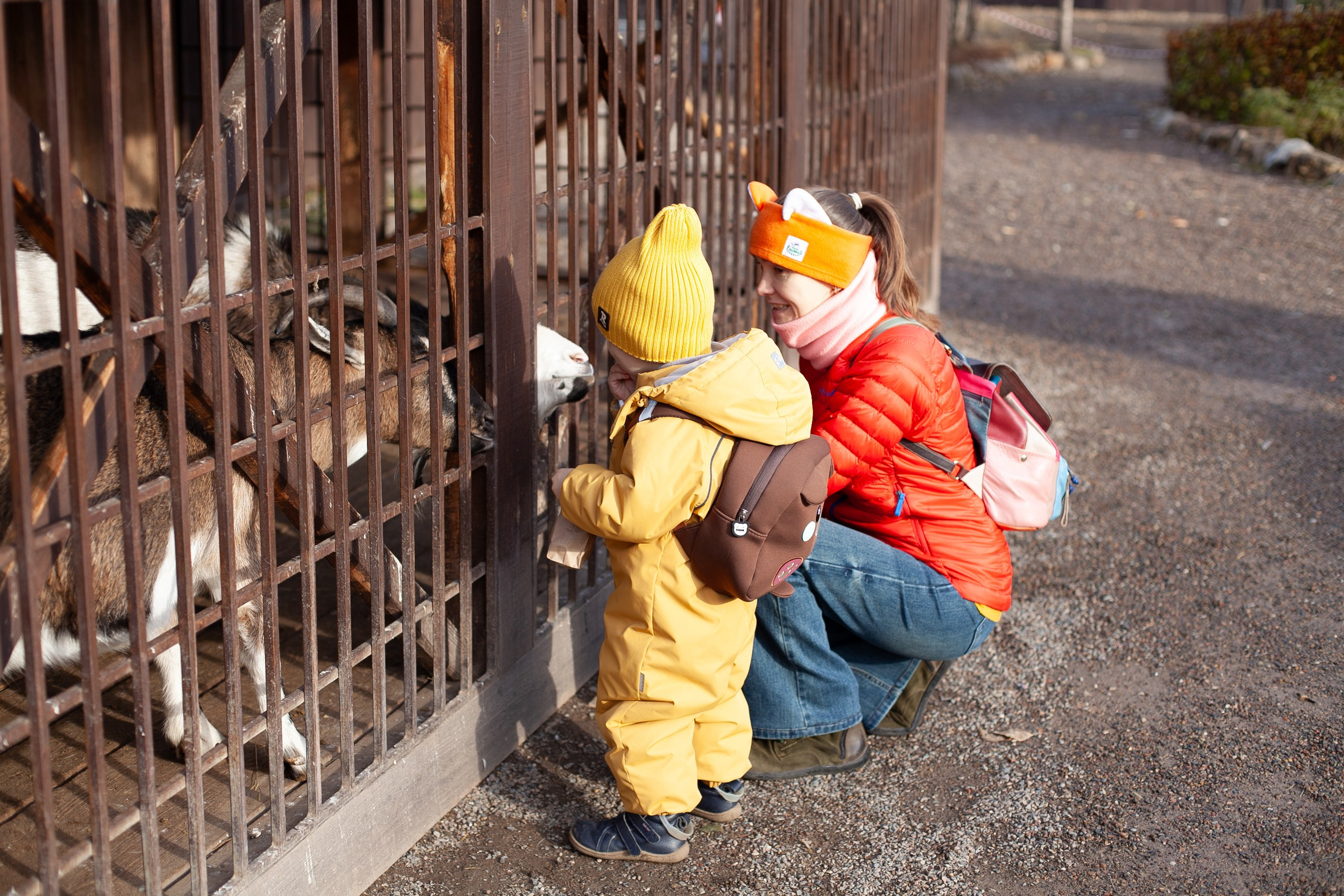 Сады Мечты. Контент для сайта. Фотограф Дарья Локотко в Красноярске