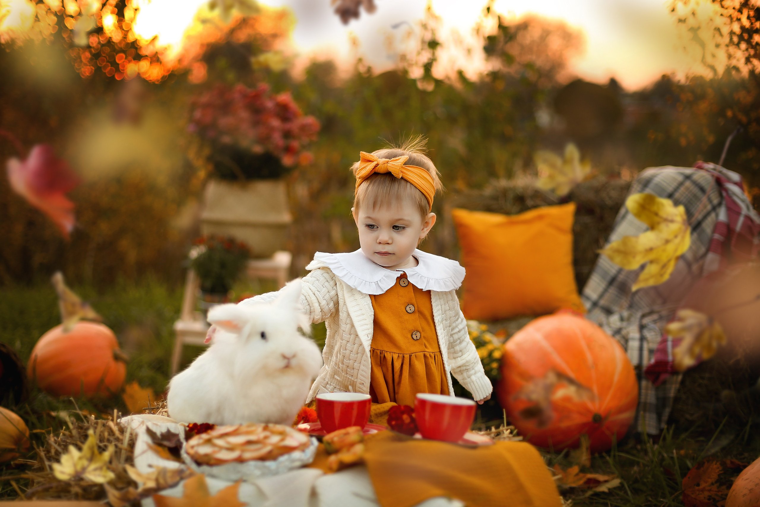Осенний пикник с кроликом. Фотограф Ульянкина Мария