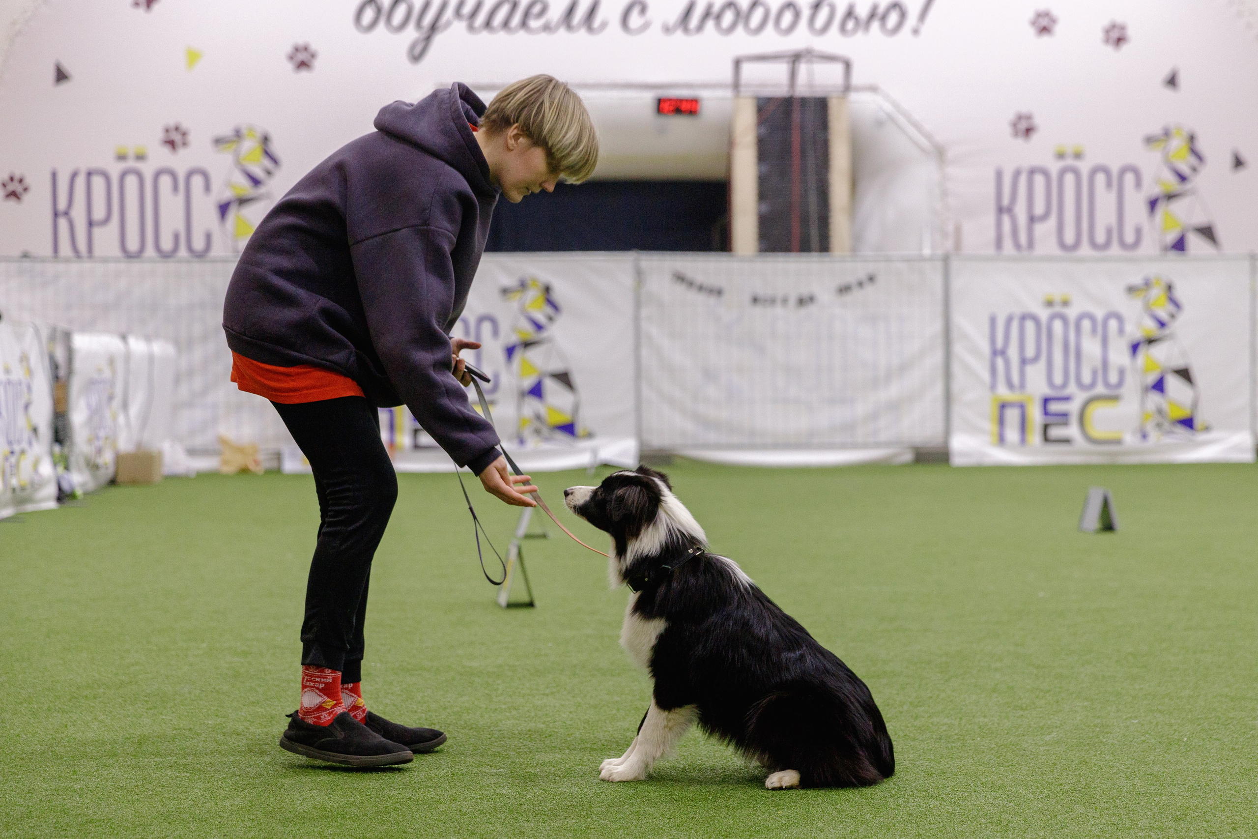 Кубрау. BLGKV питомник собак