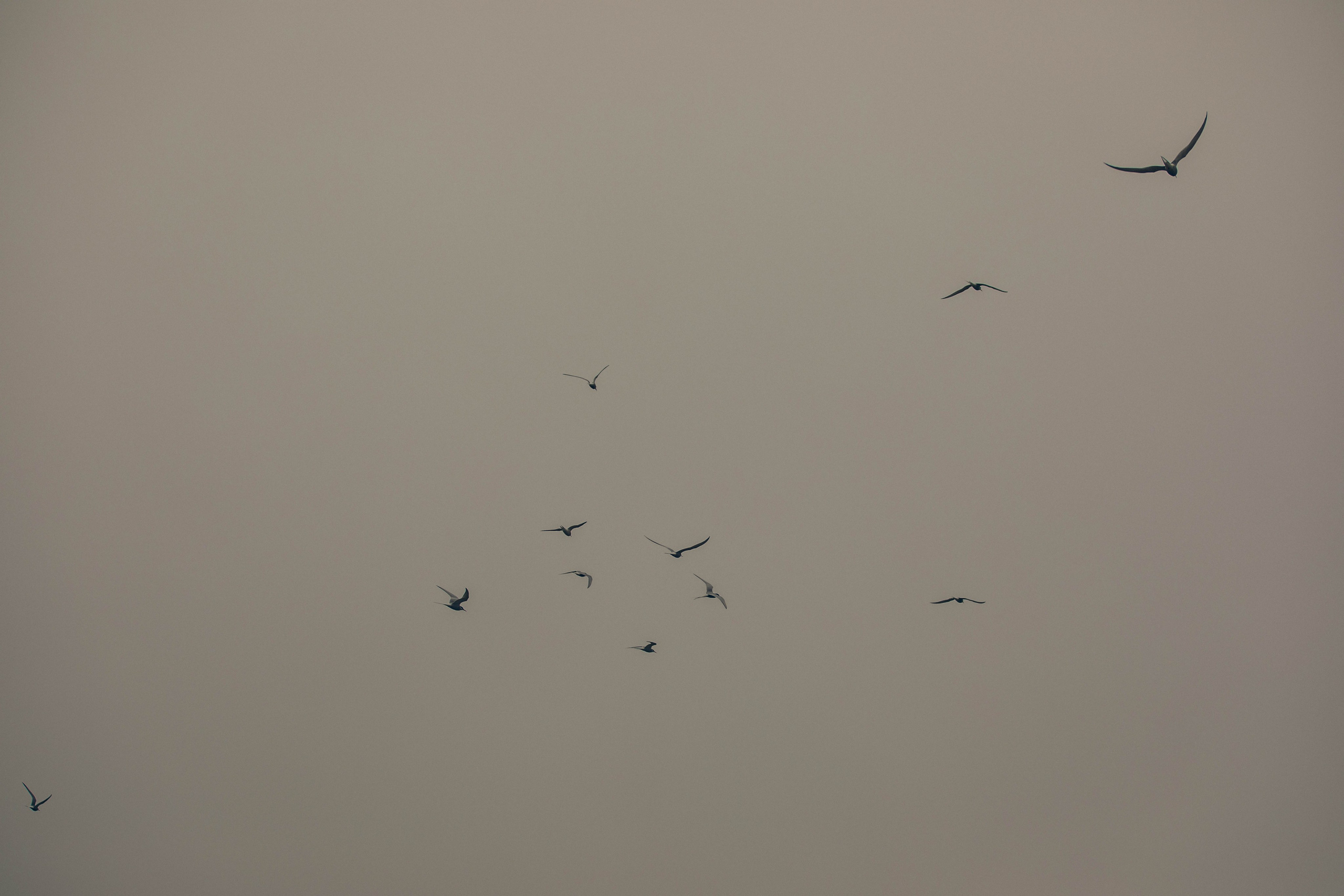 Кольский полуостров. Фотографирую для себя, своей семьи и друзей!