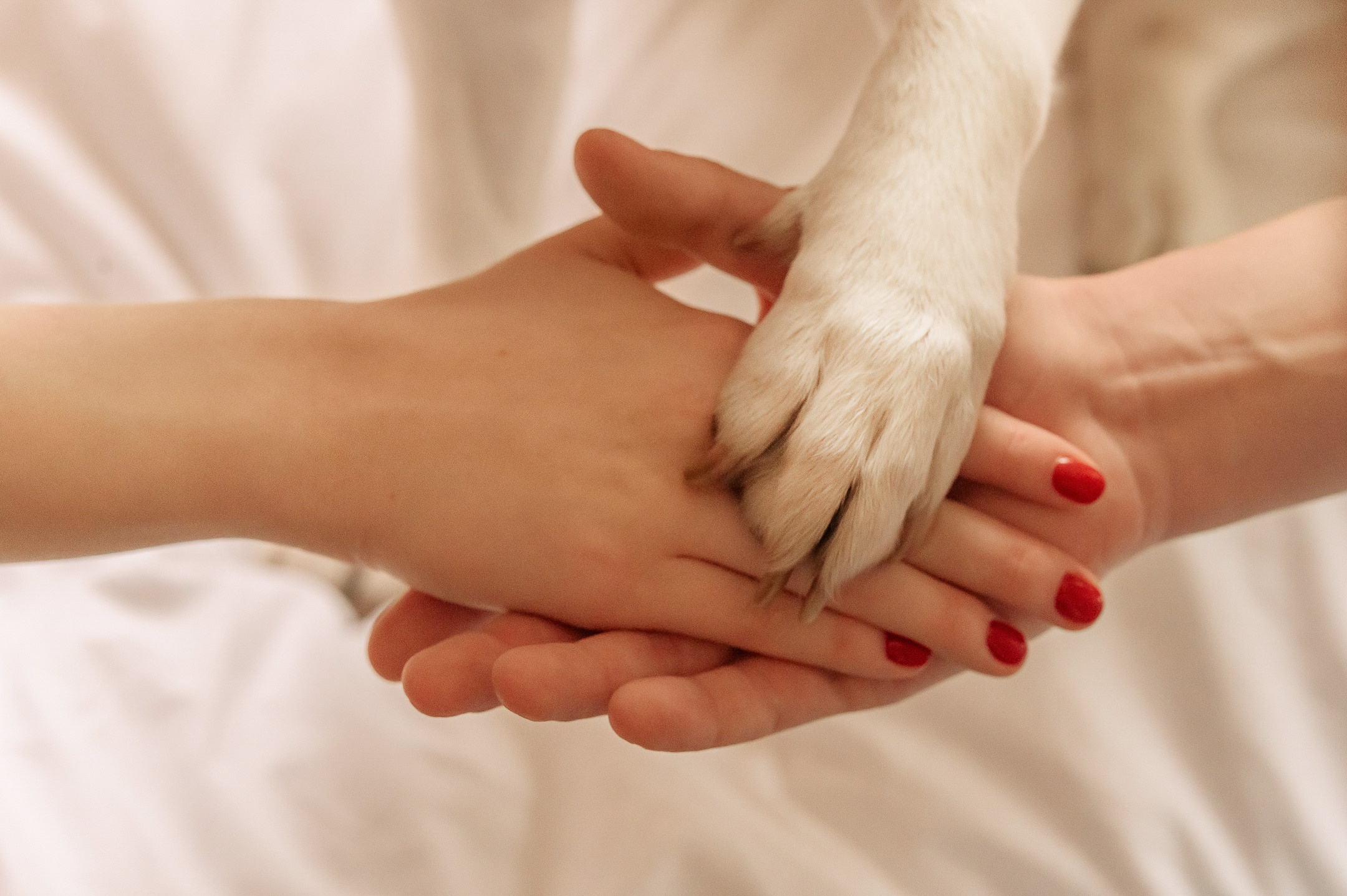 Настя и Иван. Свадебный семейный фотограф в Батуми Павел Мишарин