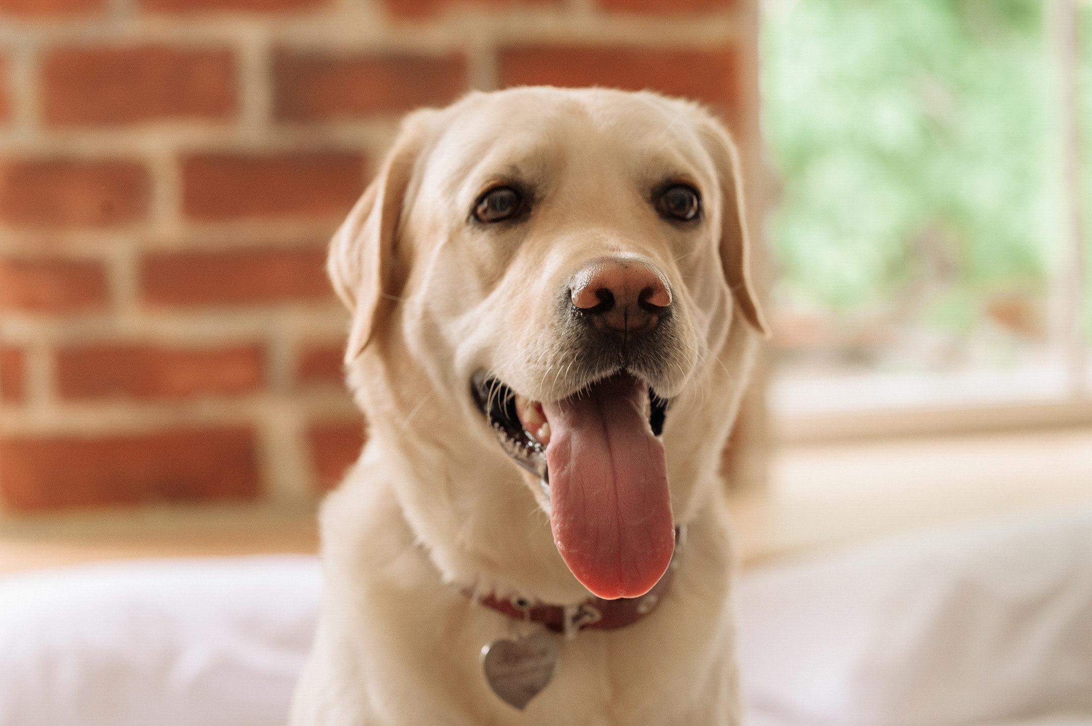 Настя и Иван. Свадебный семейный фотограф в Батуми Павел Мишарин