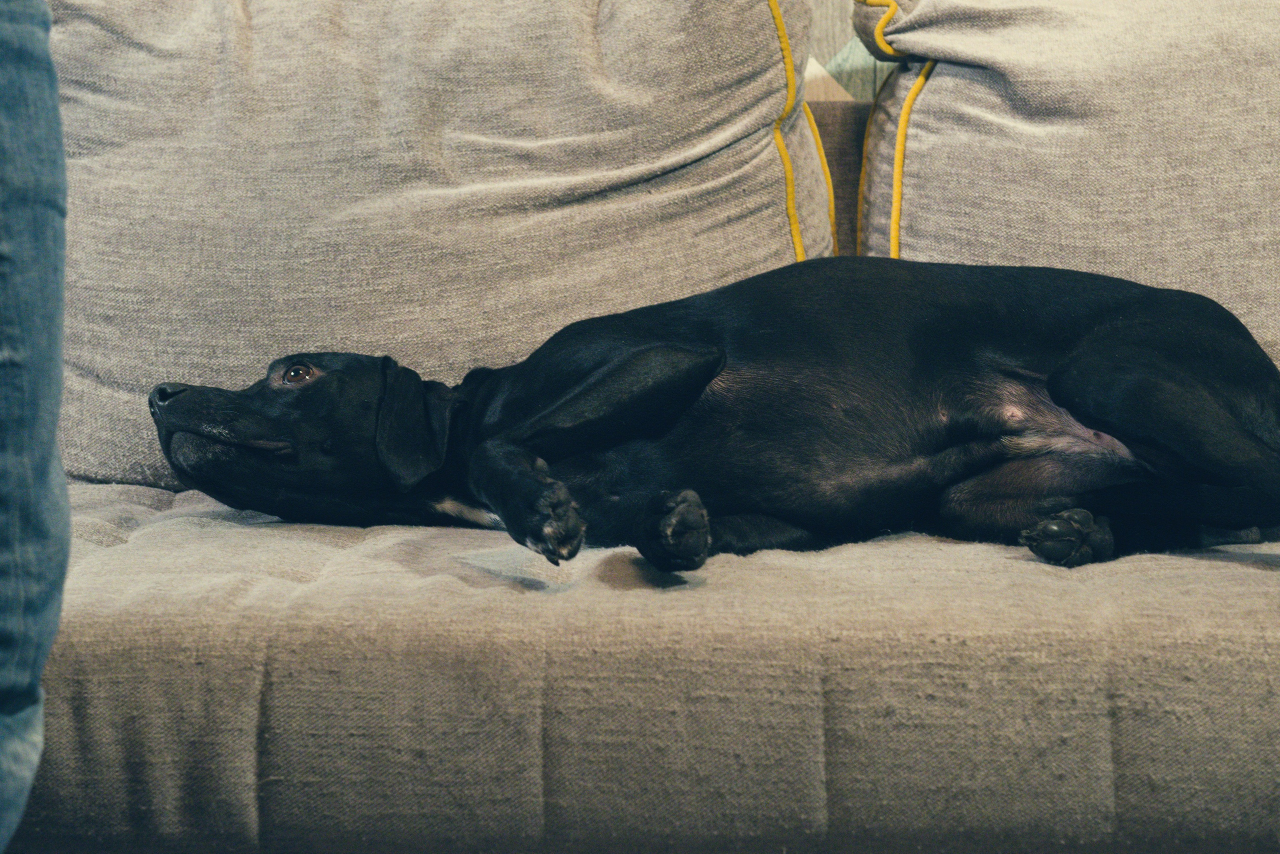 Чина и её люди. Дмитрий Бречалов