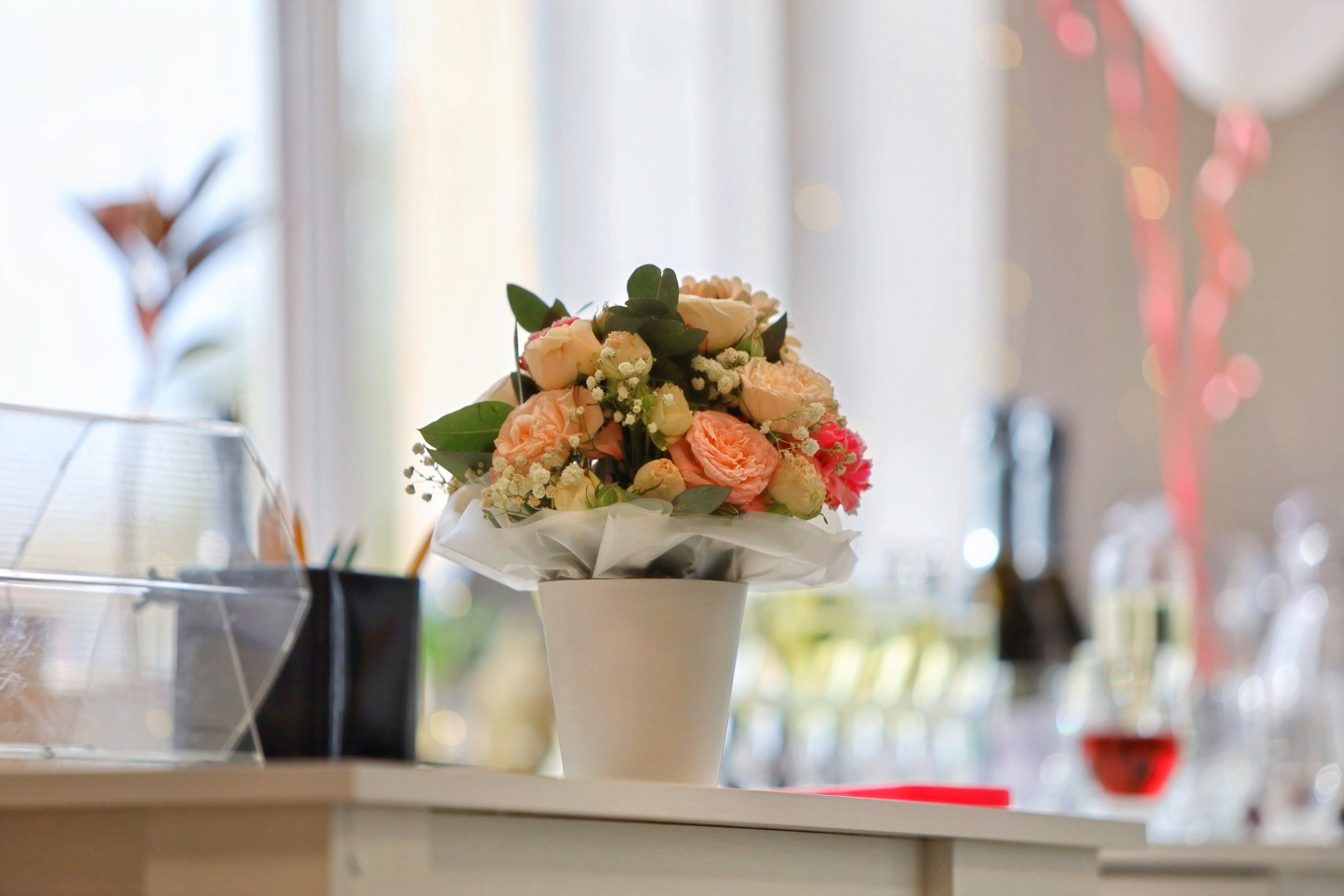 ЧИО ЧИО ОТКРЫТИЕ. Репортажный фотограф Анапа