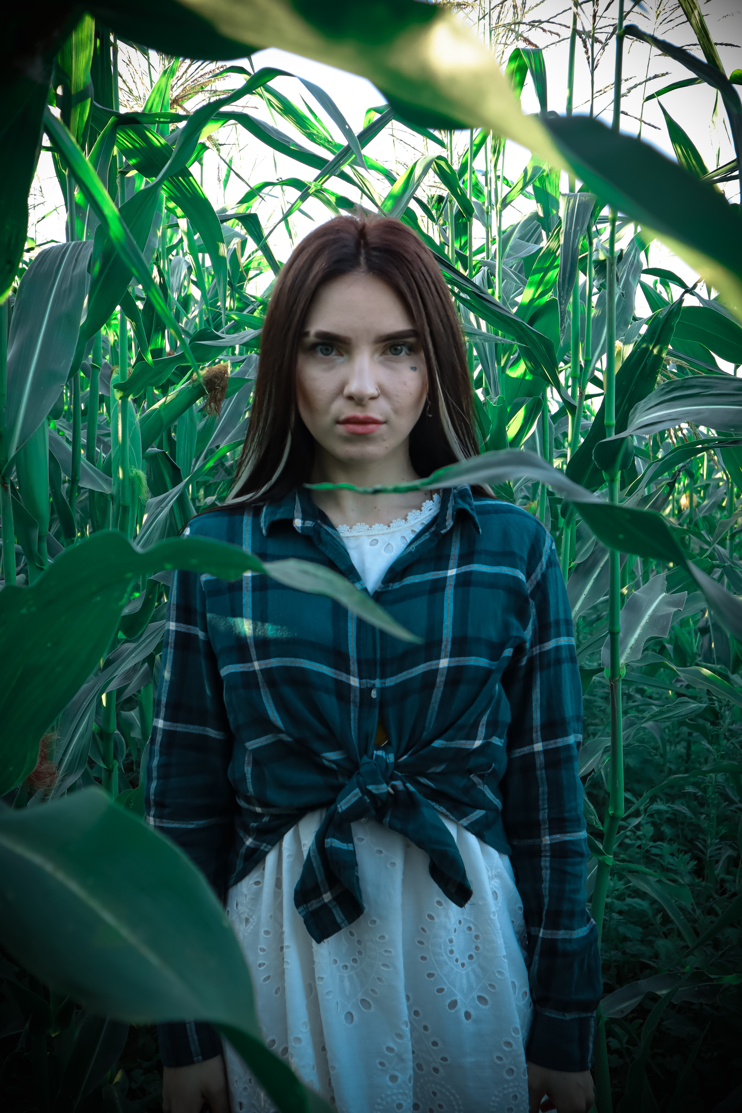 Кукуруза. Фотограф Ступино, Фотограф Домодедово, Фотограф Москва