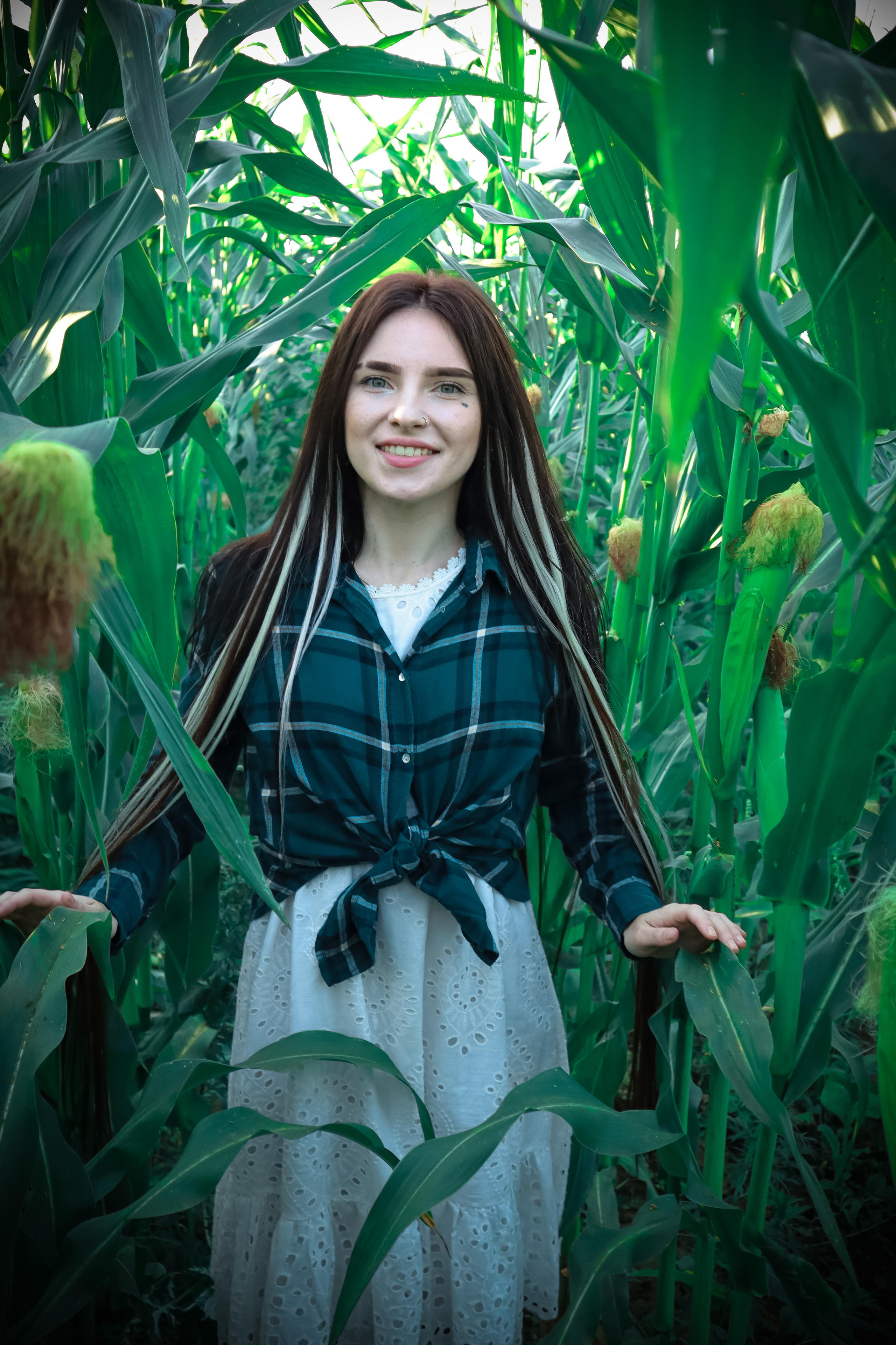 Кукуруза. Фотограф Ступино, Фотограф Домодедово, Фотограф Москва