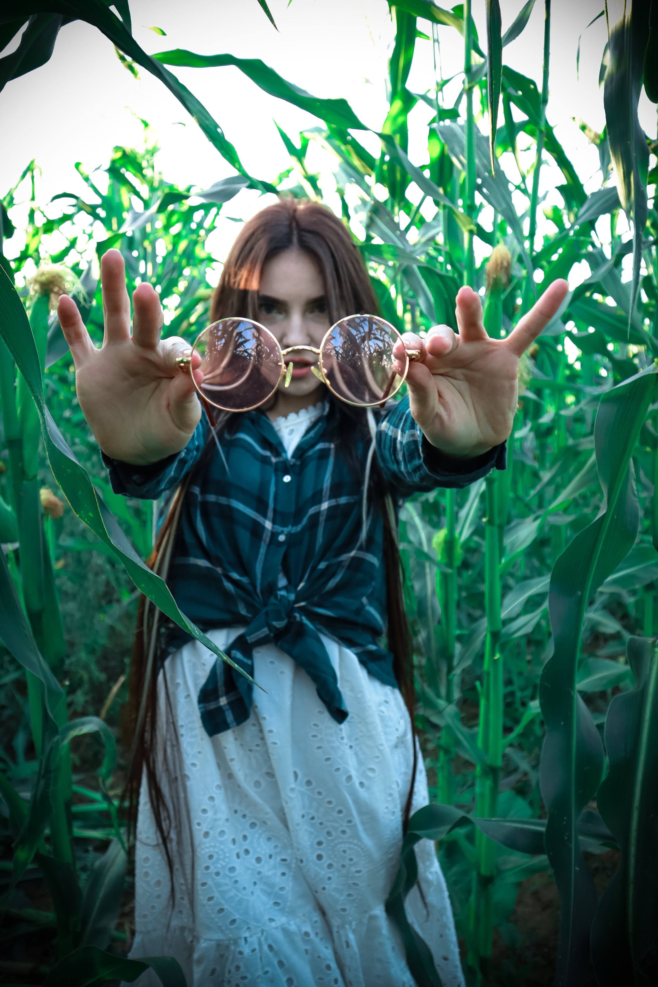 Кукуруза. Фотограф Ступино, Фотограф Домодедово, Фотограф Москва