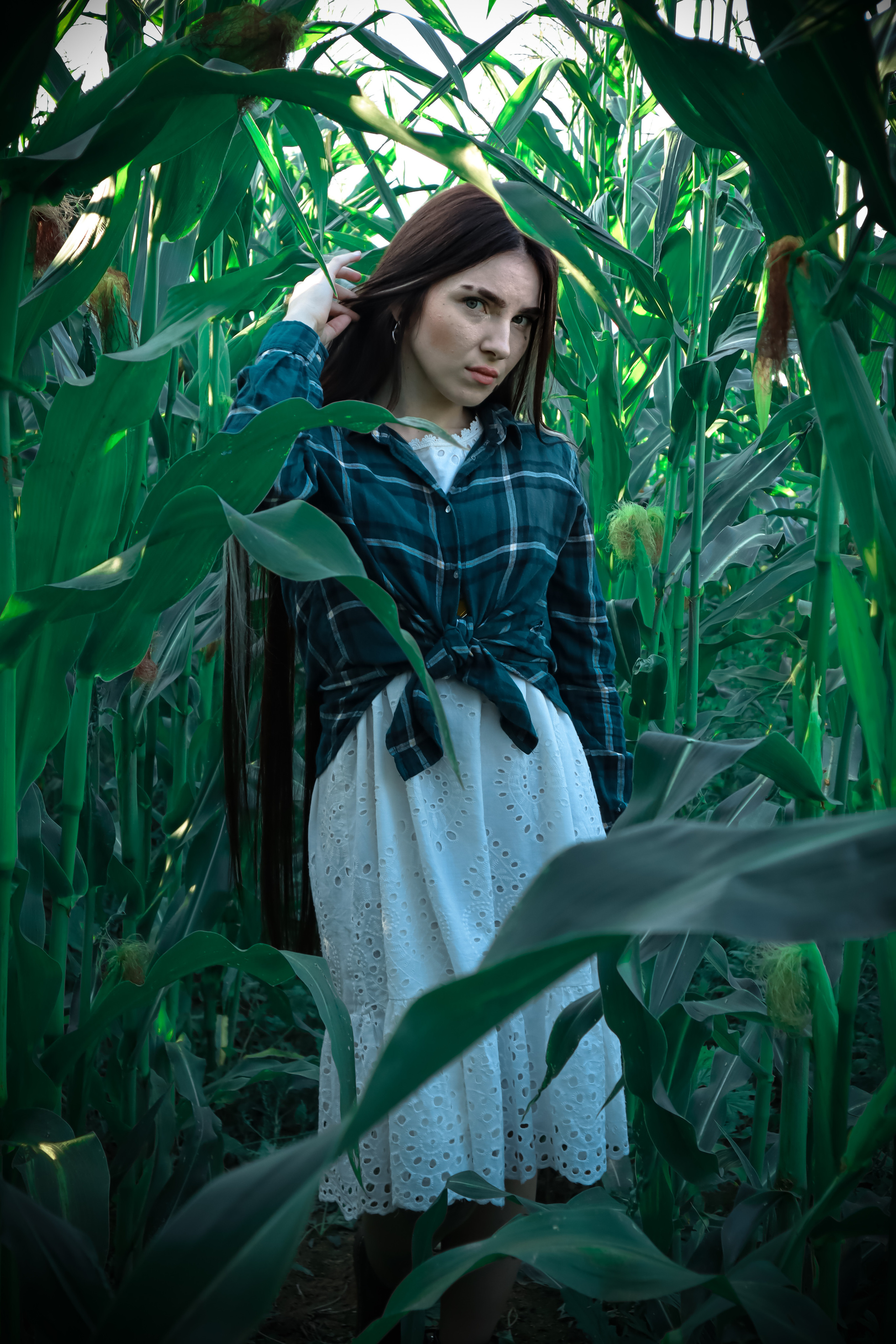 Кукуруза. Фотограф Ступино, Фотограф Домодедово, Фотограф Москва