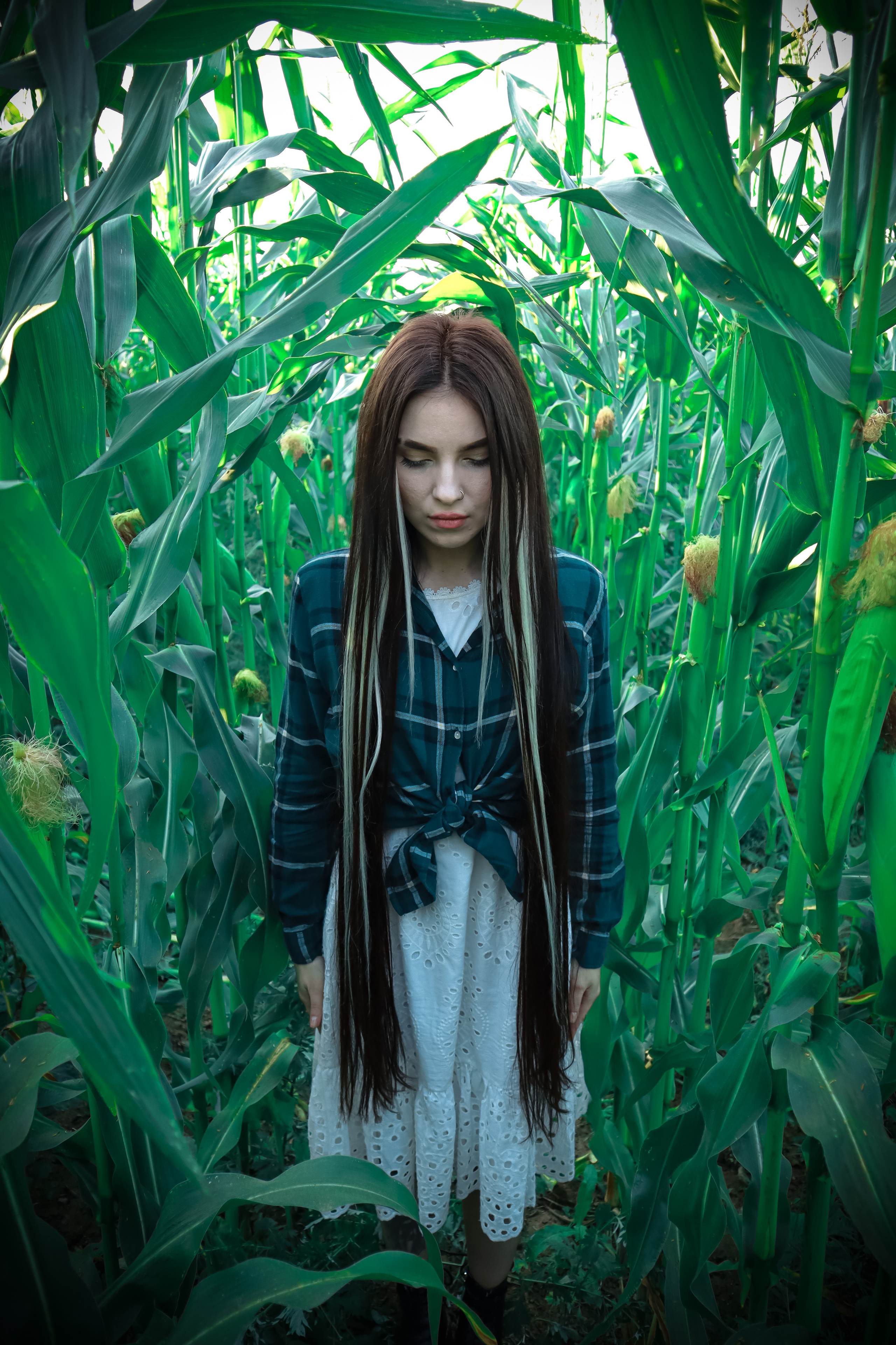 Кукуруза. Фотограф Ступино, Фотограф Домодедово, Фотограф Москва