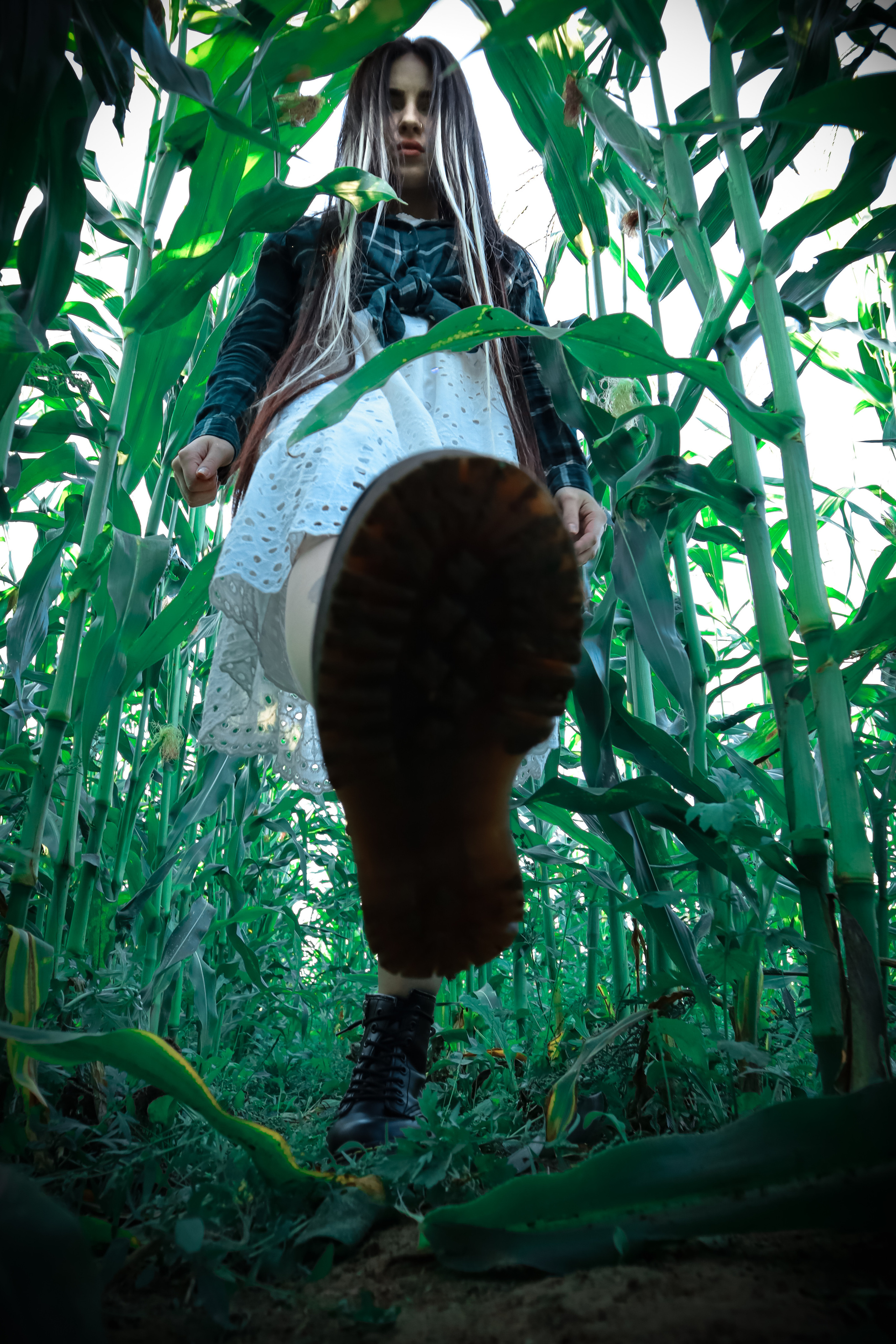 Кукуруза. Фотограф Ступино, Фотограф Домодедово, Фотограф Москва