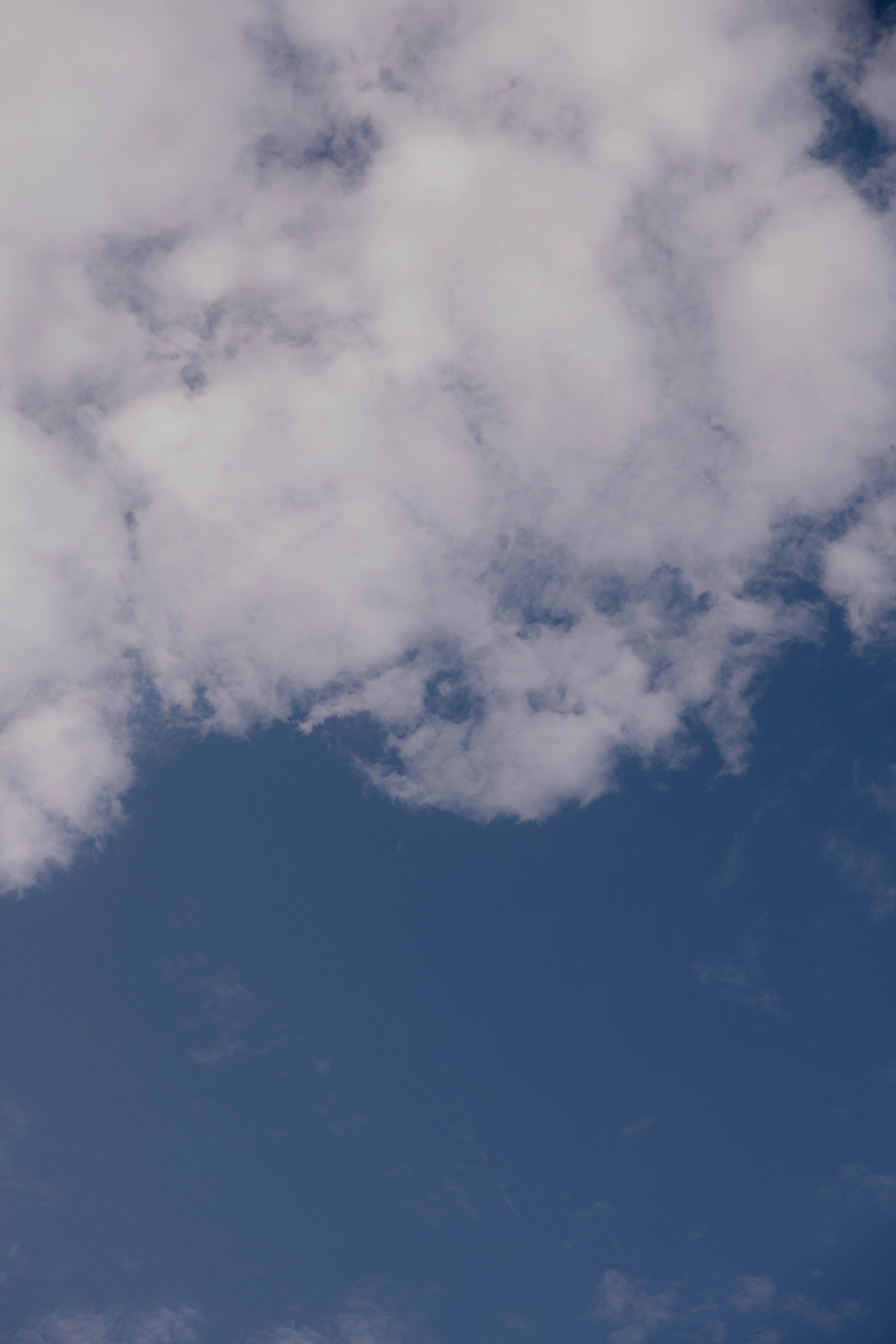 Беременность. Миша и Рита. Фотограф Юсова Мария