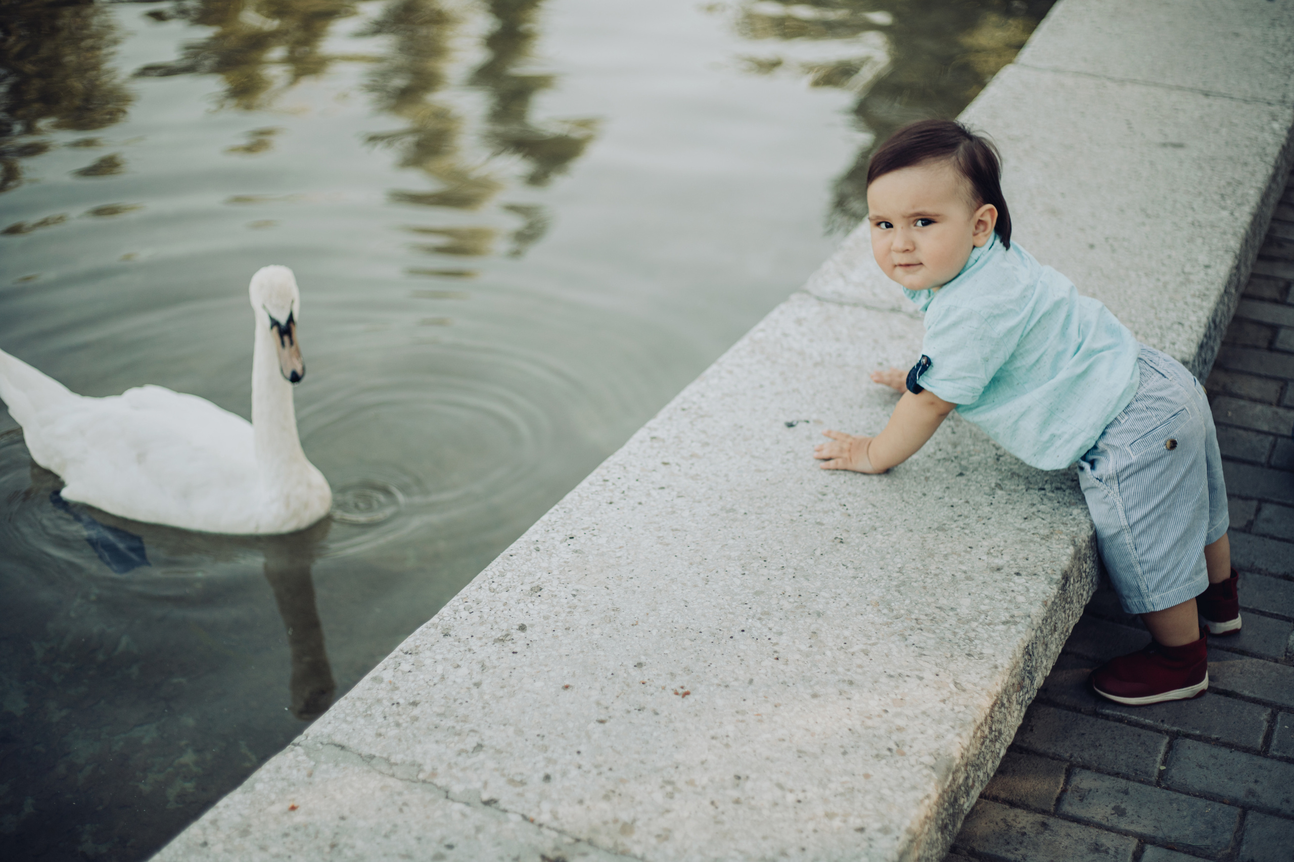 Семейная фотосессия в Ташкенте. Свадебный и семейный фотограф в Краснодарском крае Мария Данилкина