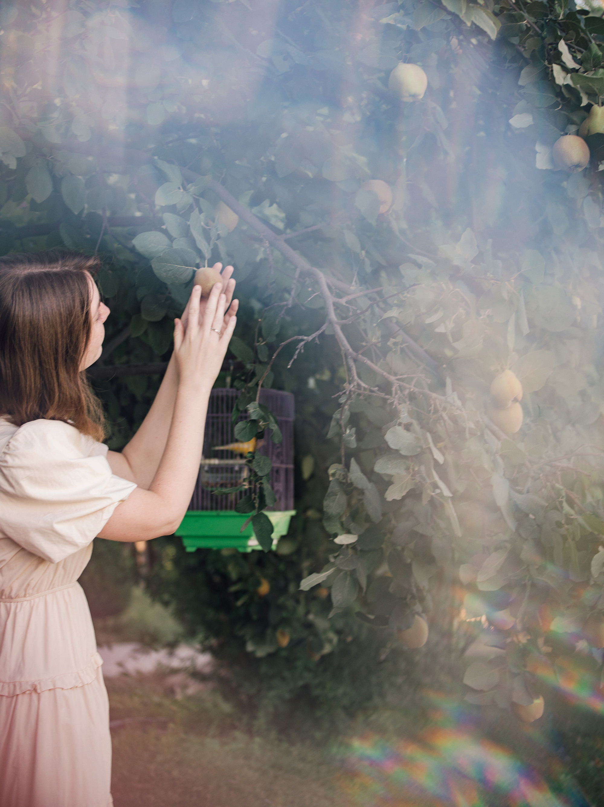 Love story фотосессия в Ташкенте. Свадебный и семейный фотограф в Краснодарском крае Мария Данилкина