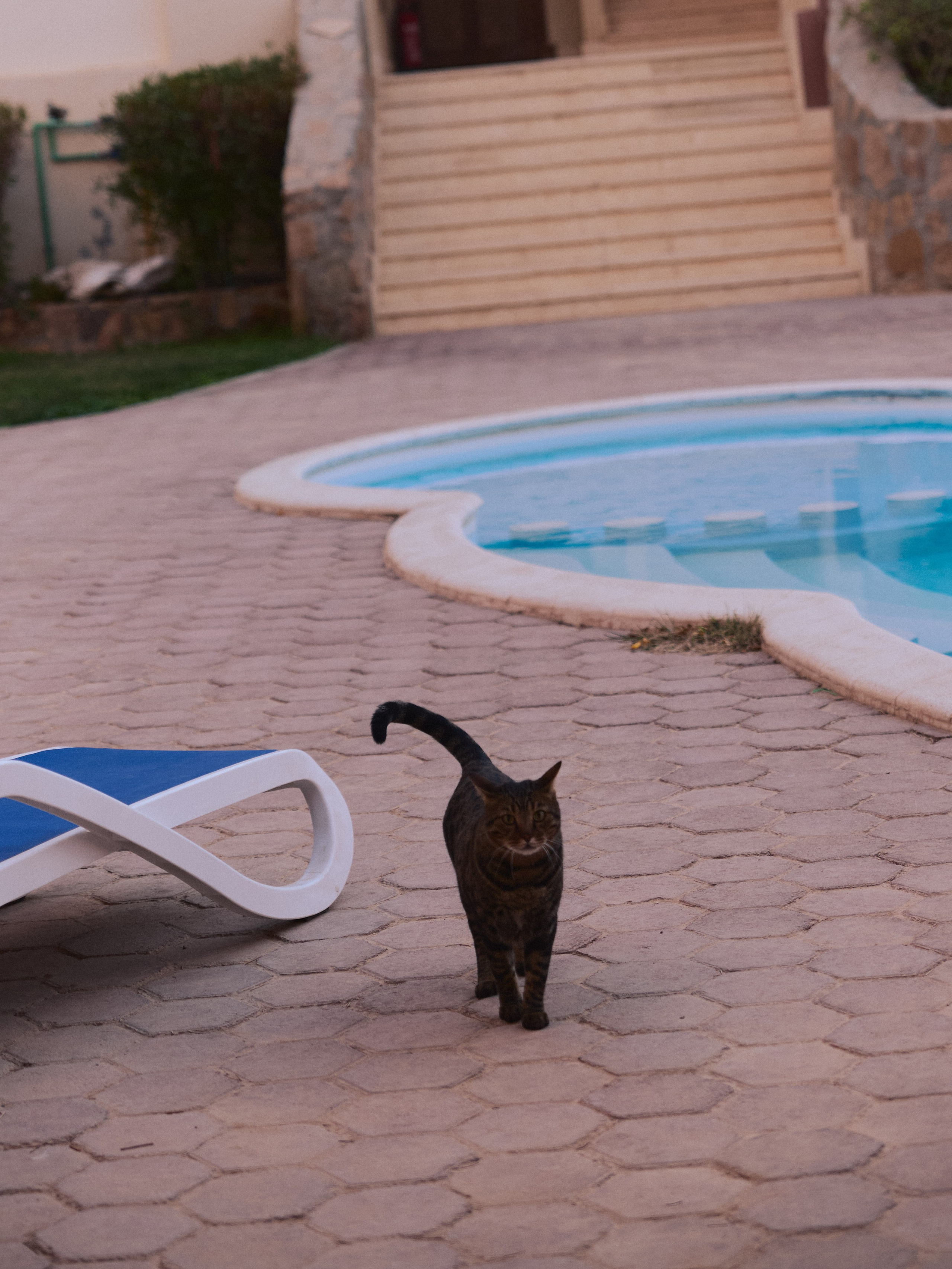 Другое 2. Jorgis Talè — photographer, kind person, teacher of arts and other mag