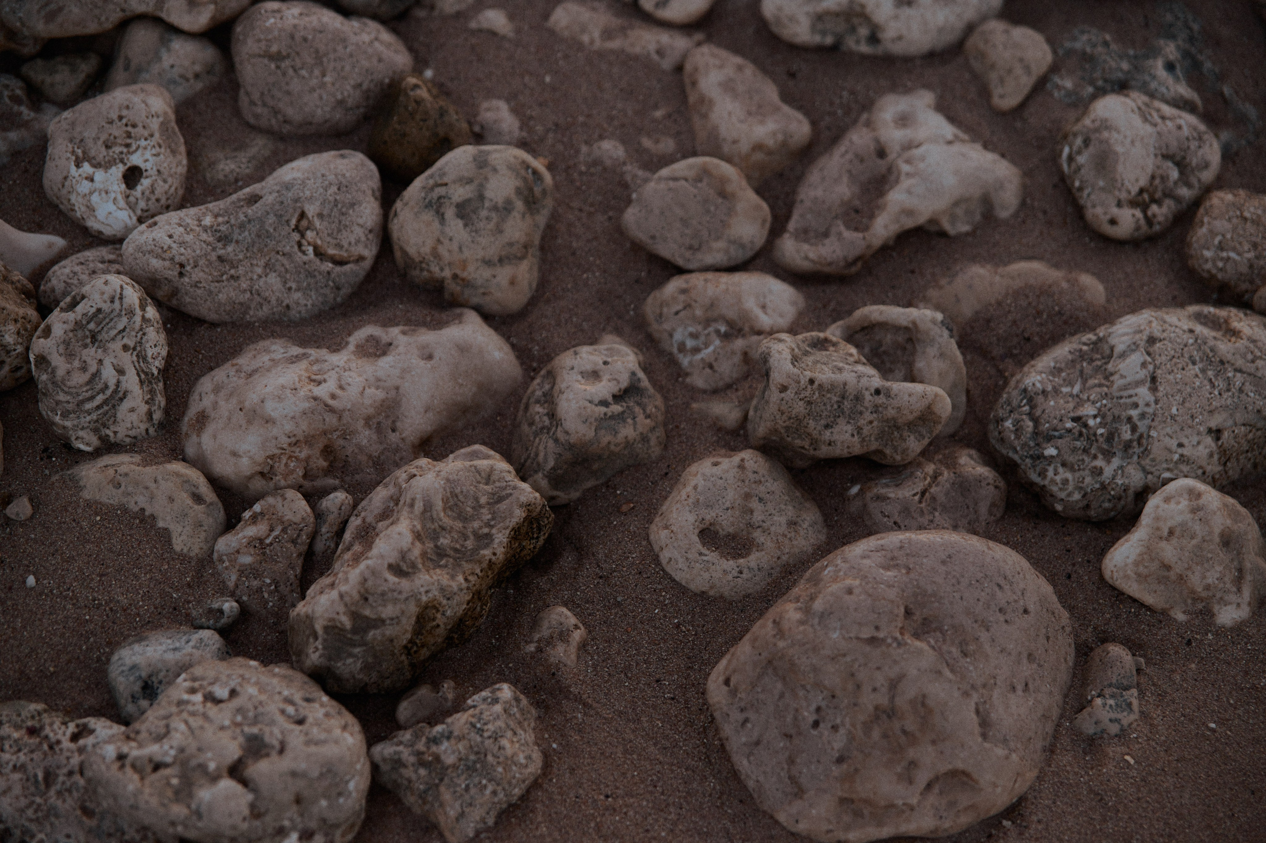 Диптих. Jorgis — фотограф в Хургаде / обучение фотографии