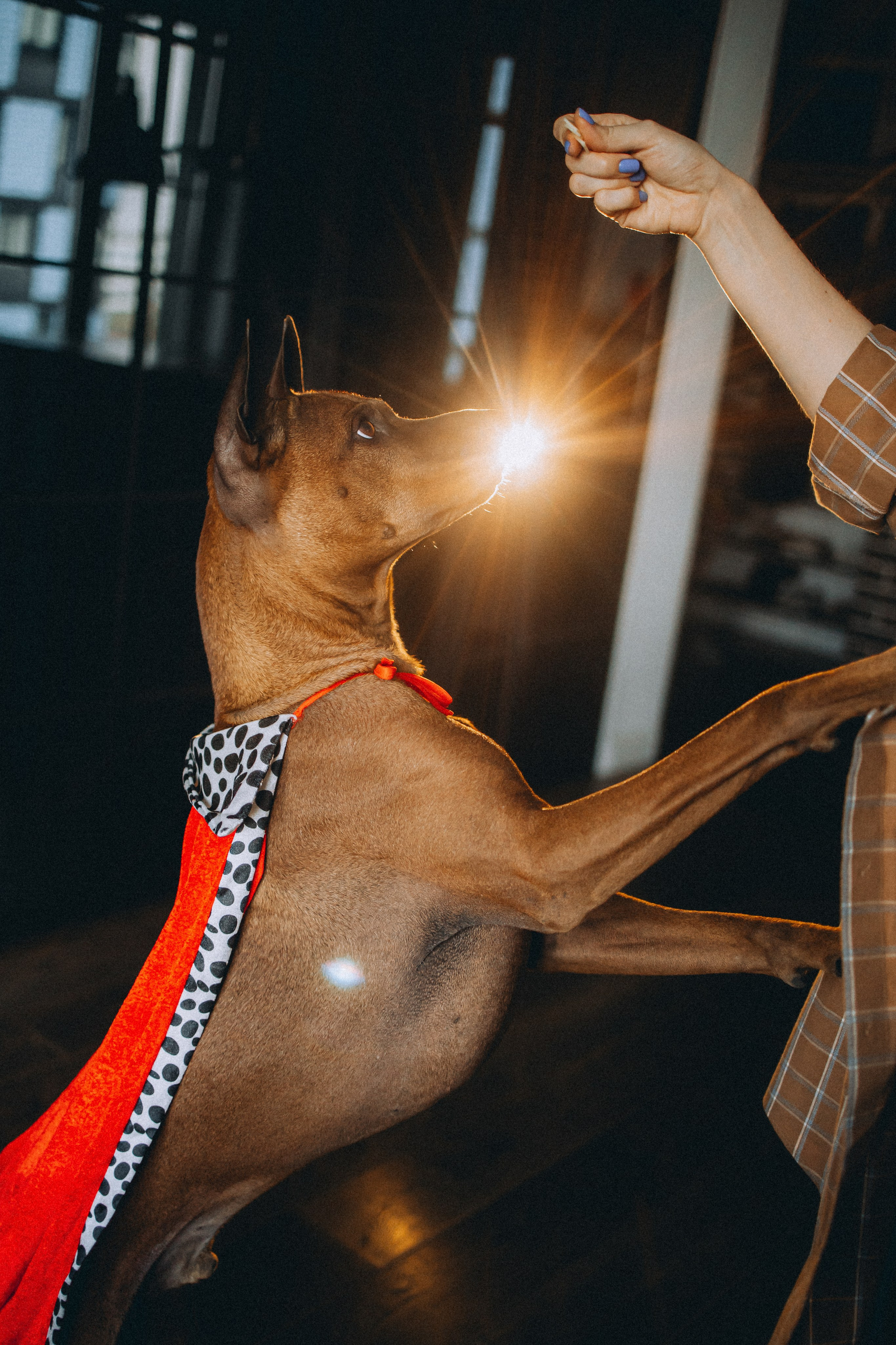 Оксана и Зевс