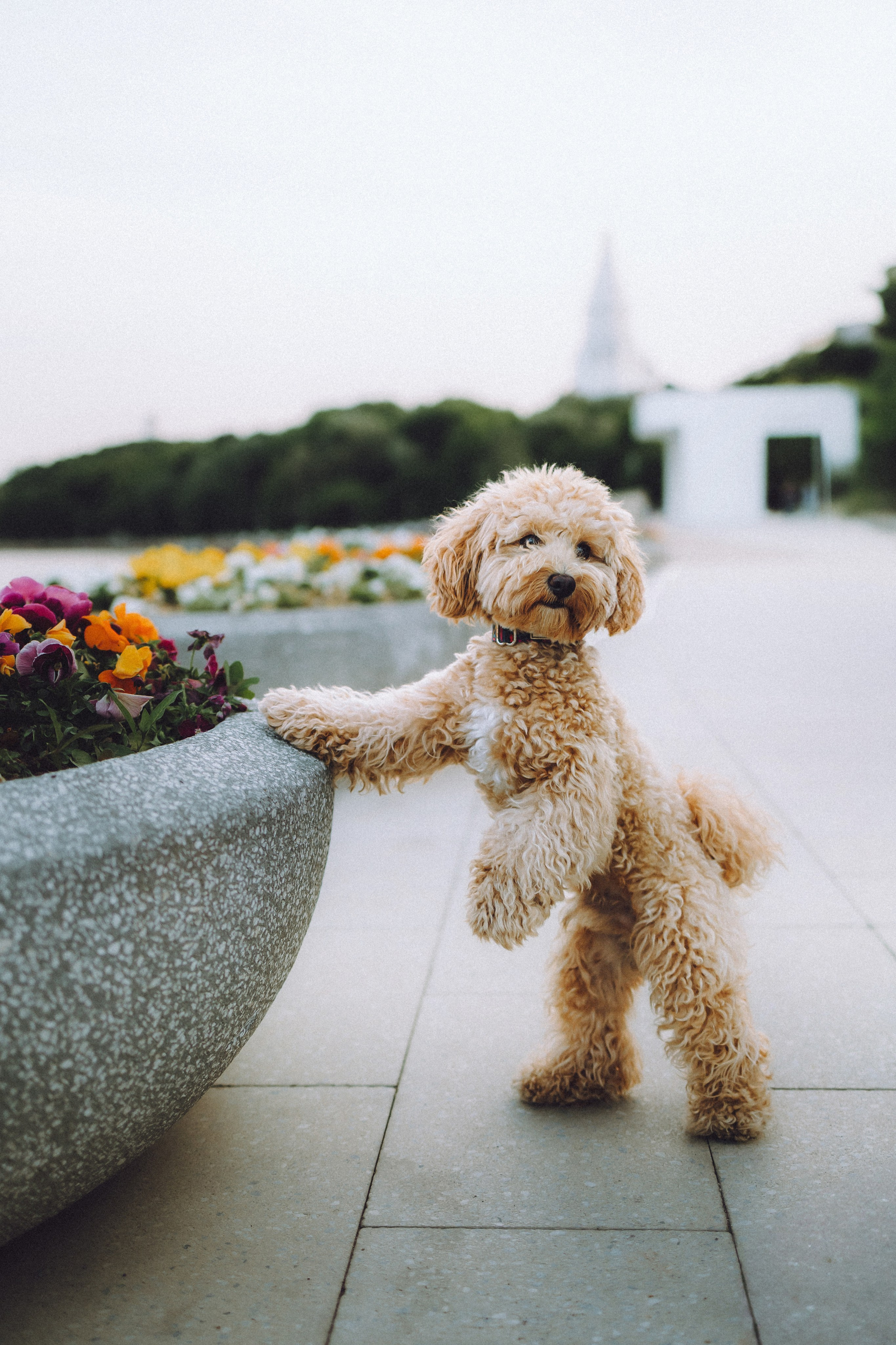 Фред и его семья