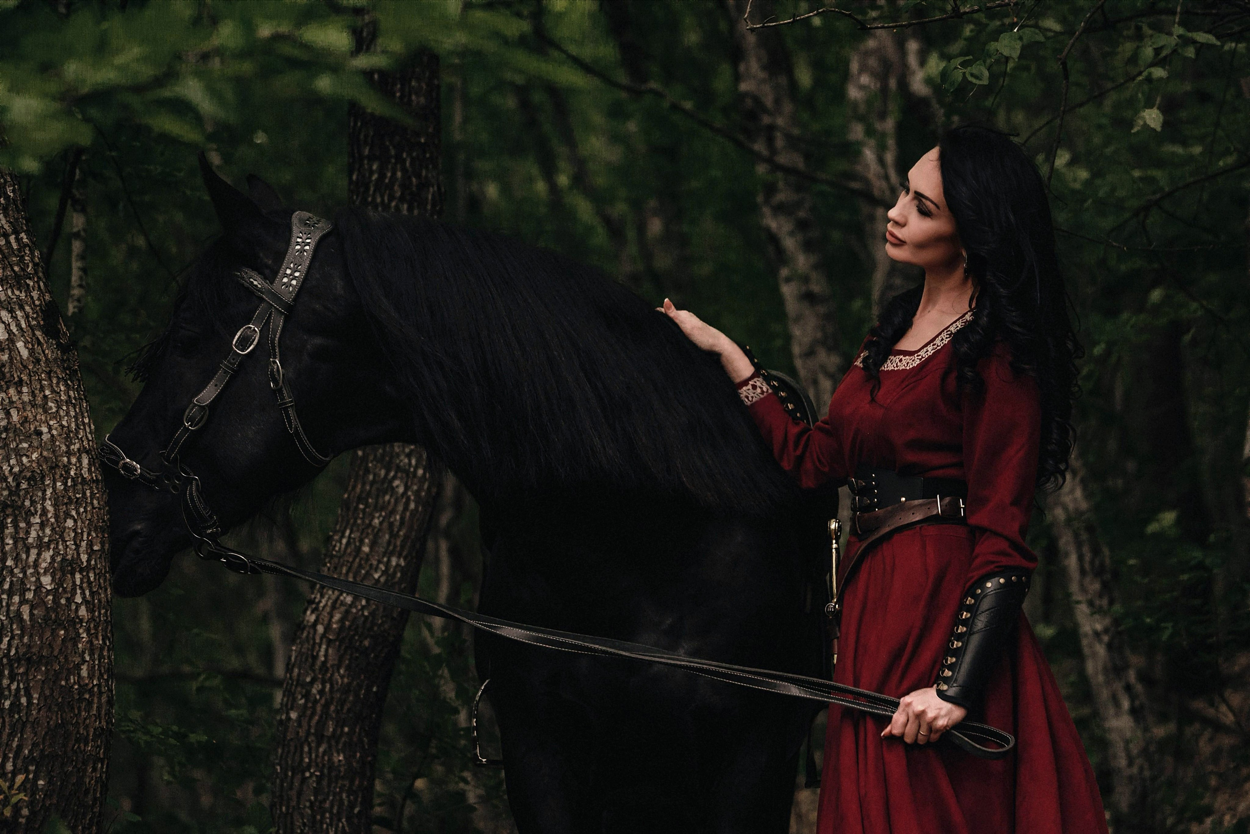 Викинг. Конный и театральный фотограф Анапа