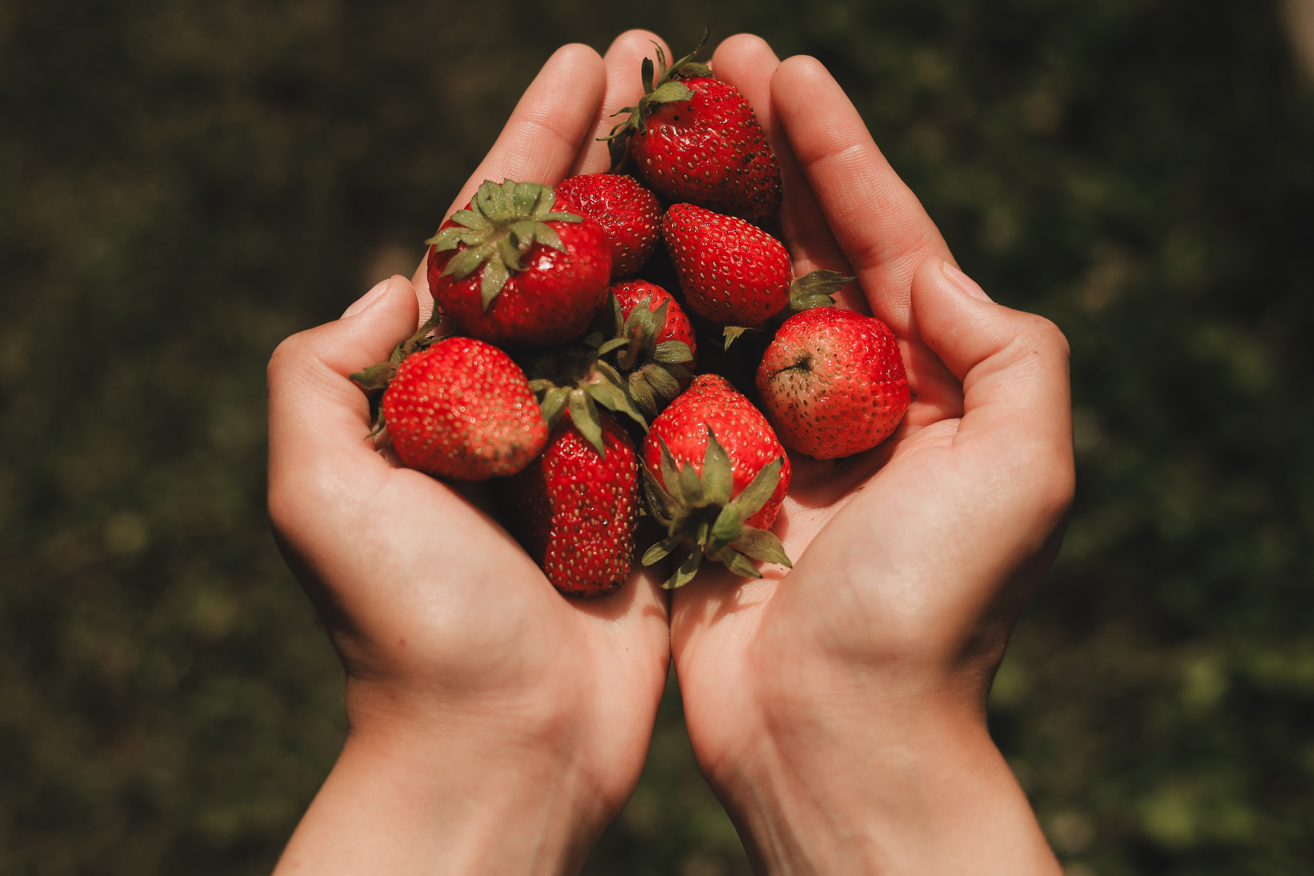 СТРИТ И ПРИРОДА. Репортажный фотограф Наталья Лапцевич