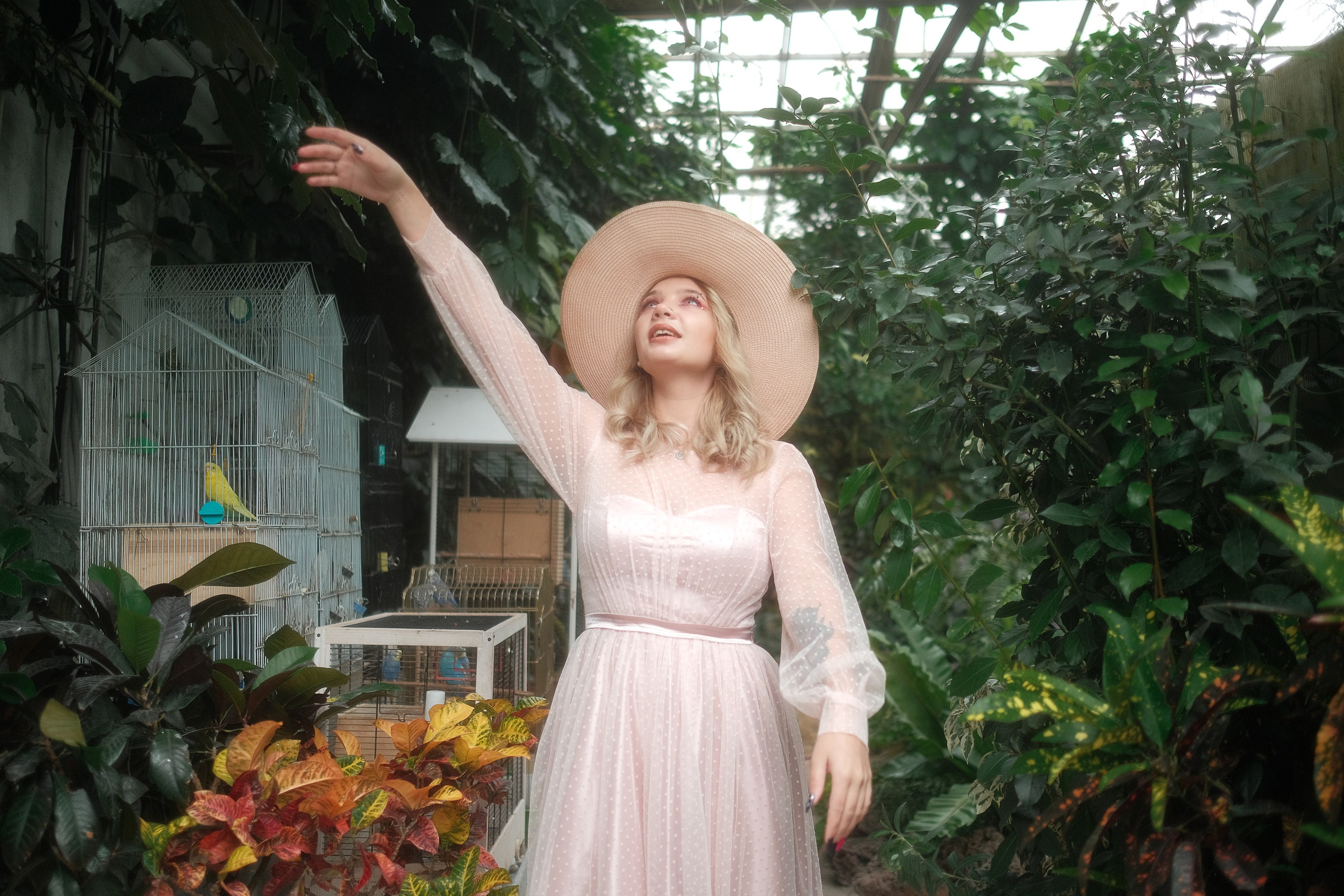 Greenhouse. Aleksandr Schafft