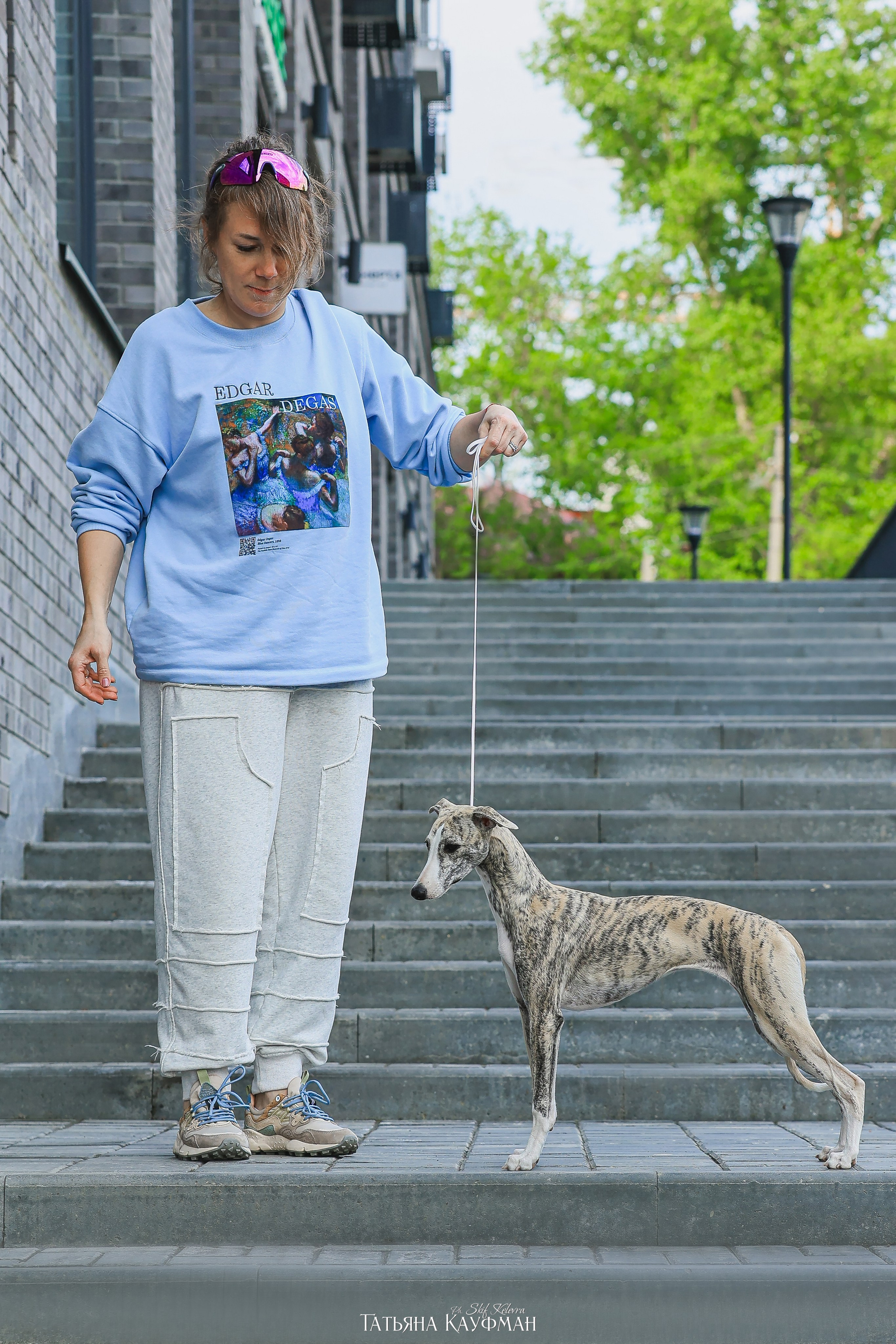 Уиппет, фотография уиппет, собака в цветах, красивая собака, фотограф анималист, фотокурс Анималистика, научиться фотографировать собак, фотограф Новосибирск