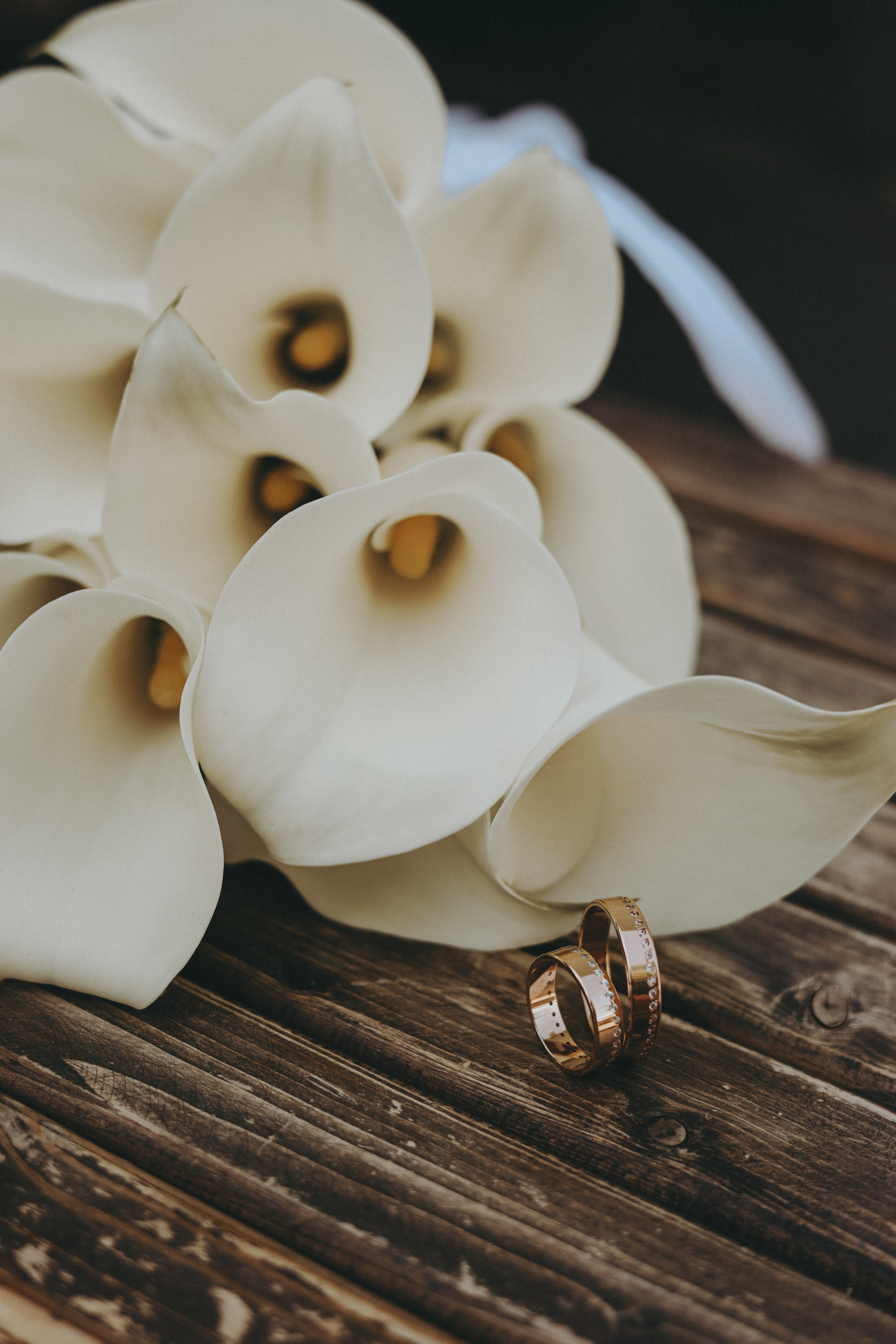 Григорий & Арнелла. Фотограф Мария Лаенко
