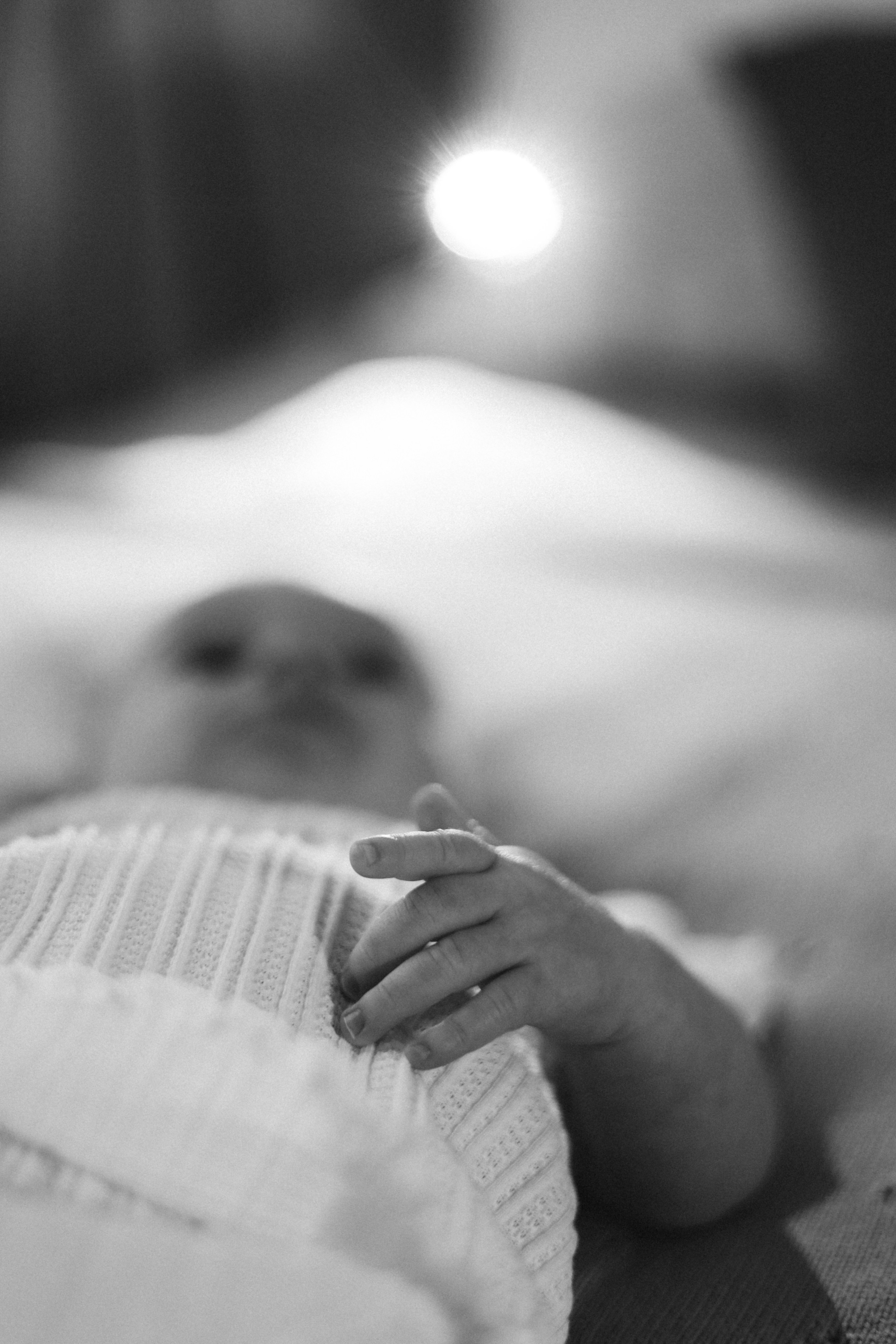 Авроре 3 месяца. Фотограф Мария Лаенко