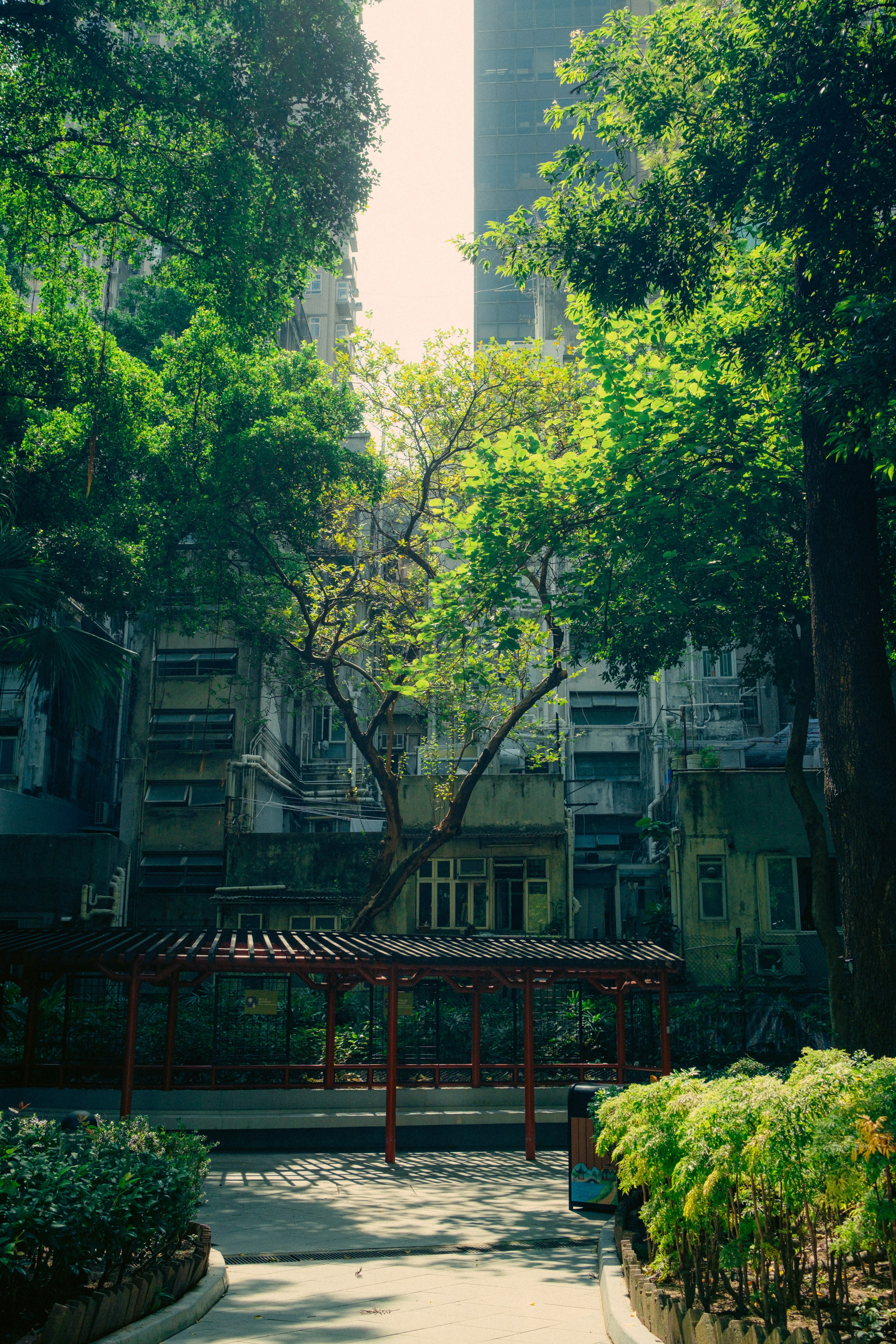 HongKong. Богдан Голубков — фотограф (notbogdang)
