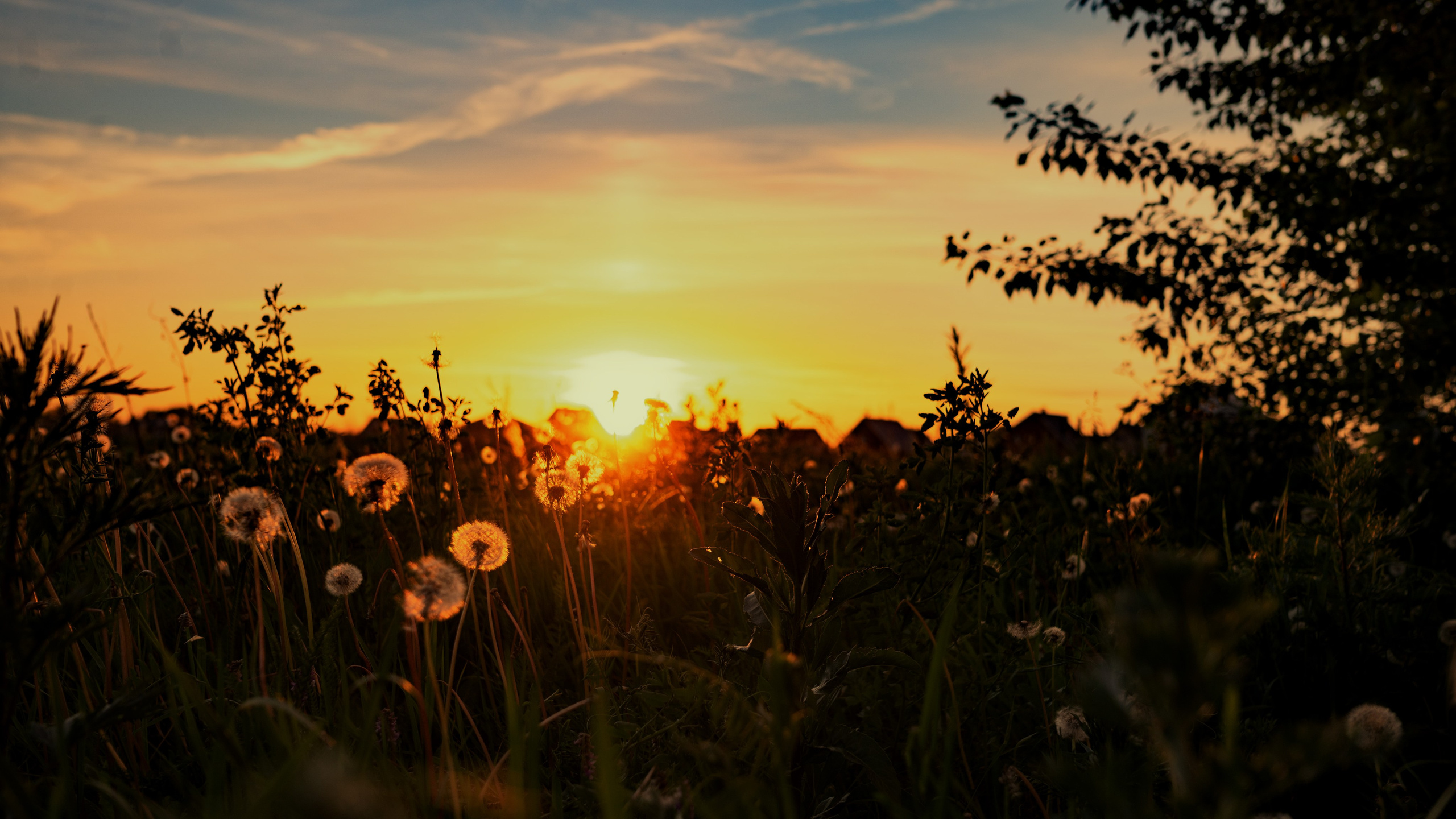 А это для Души. Фотограф в Стерлитамаке
