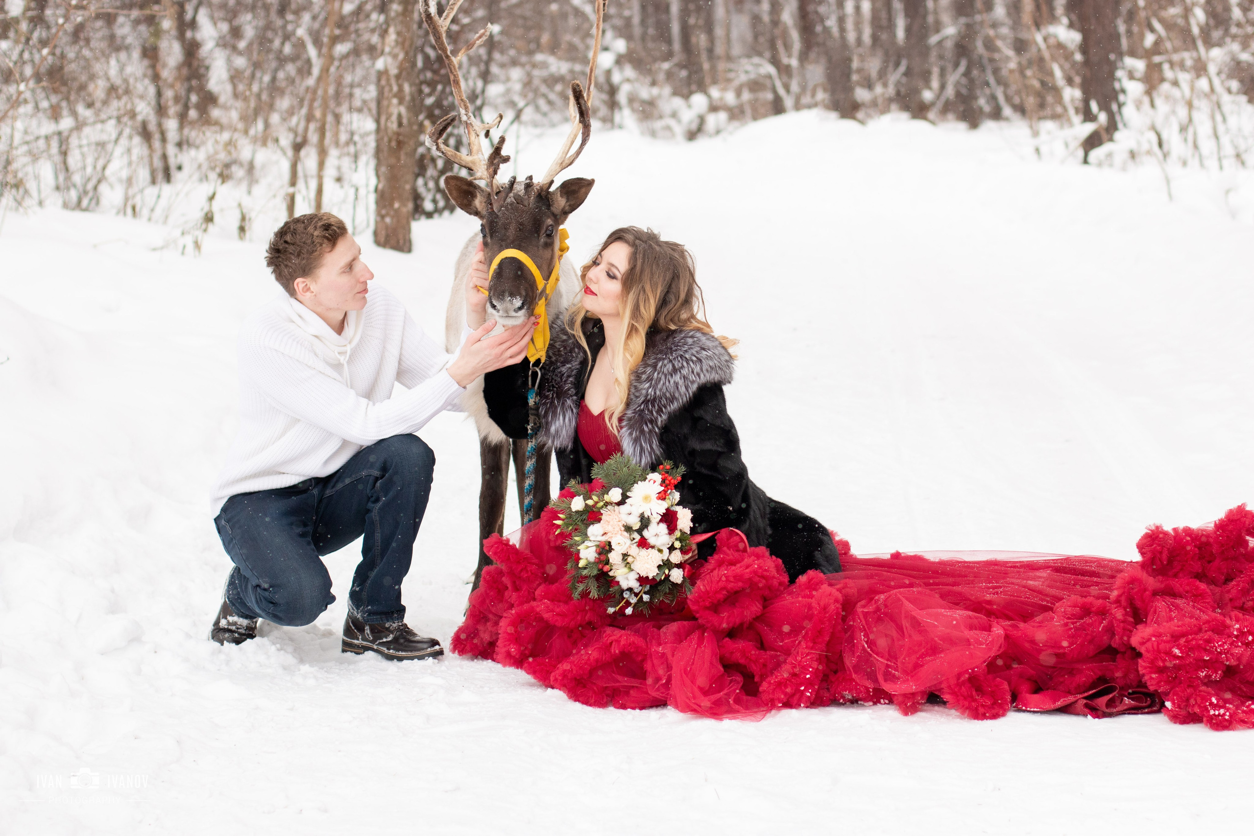 Фотосет с северным оленем. Свадебный и семейный фотограф в Новокузнецке Иван Иванов