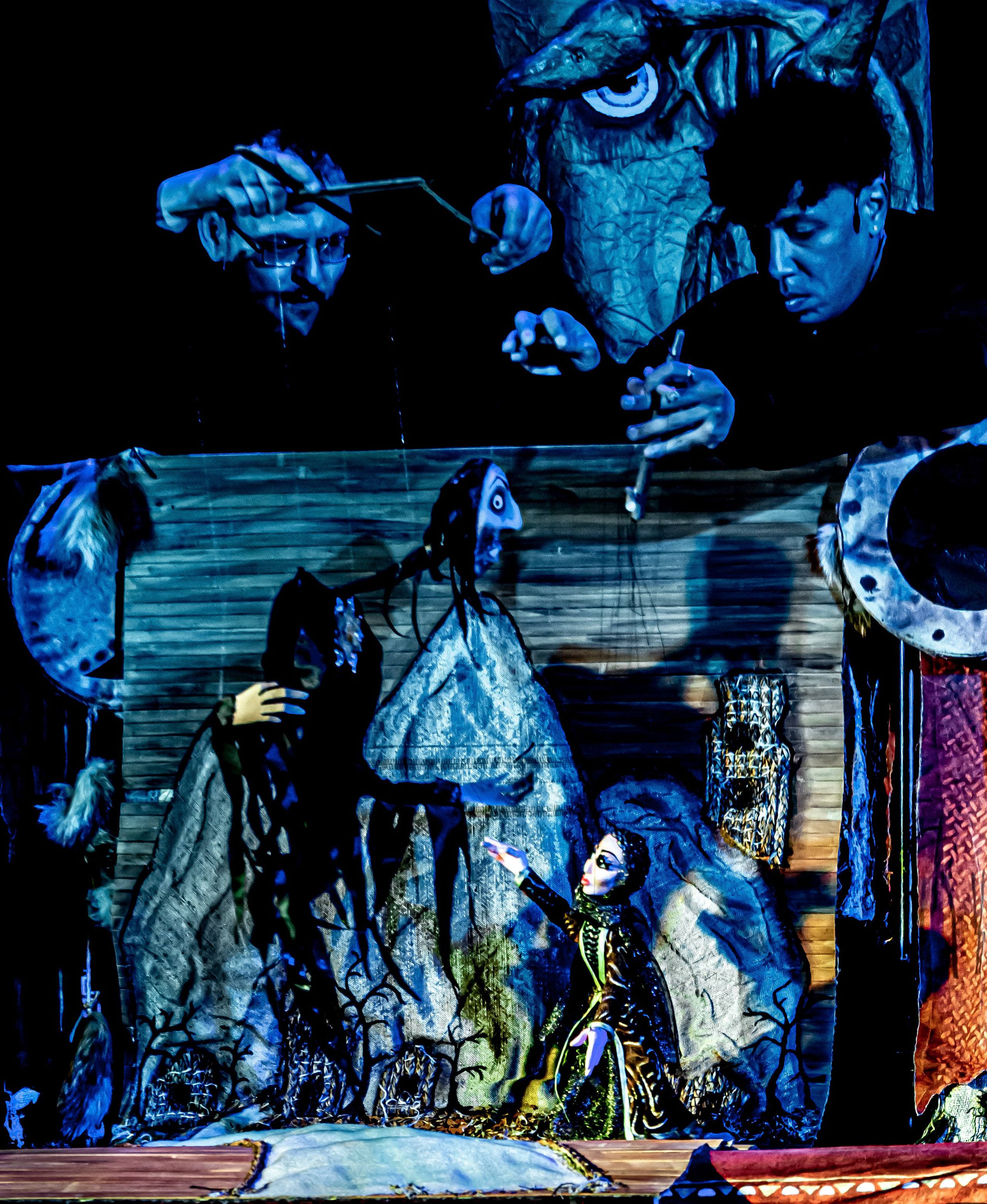 Легенды о Сочи Саквояж. Фотограф в Сочи Юрий Шептаев