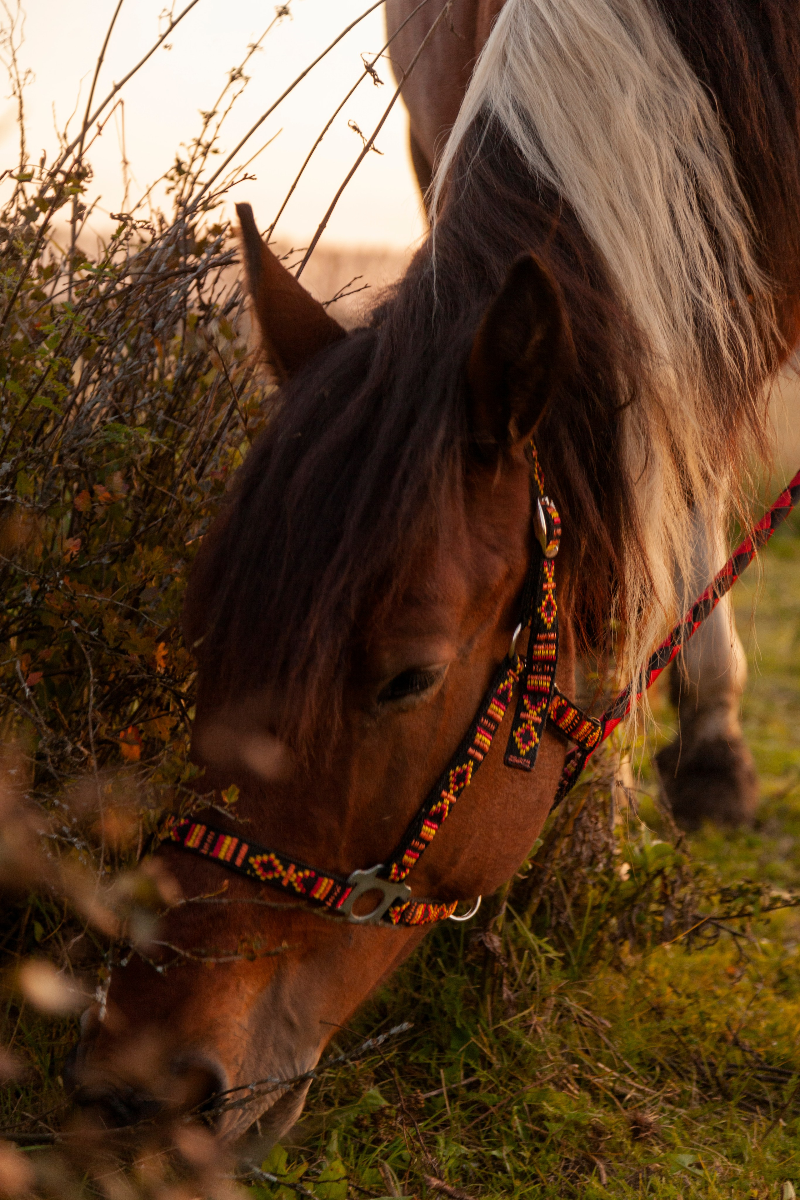 Творческие съемки. PROphoto