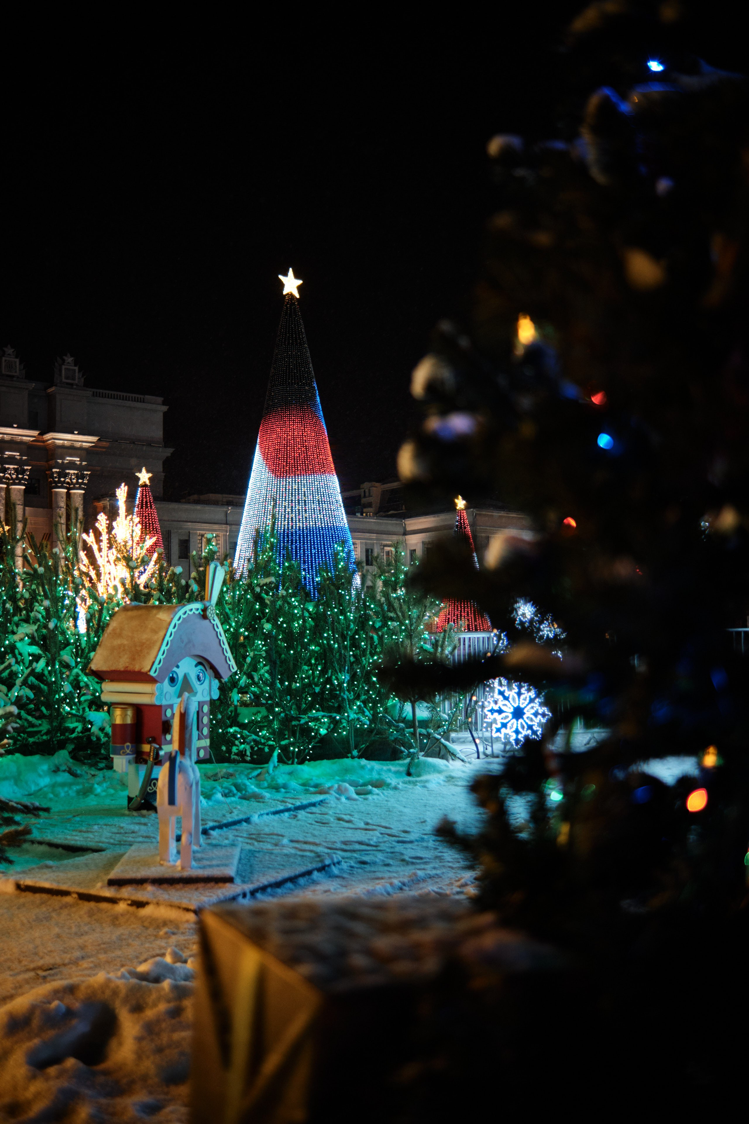 Вид через ветви украшенной ёлки на светящуюся площадь Куйбышева в зимнем убранстве.