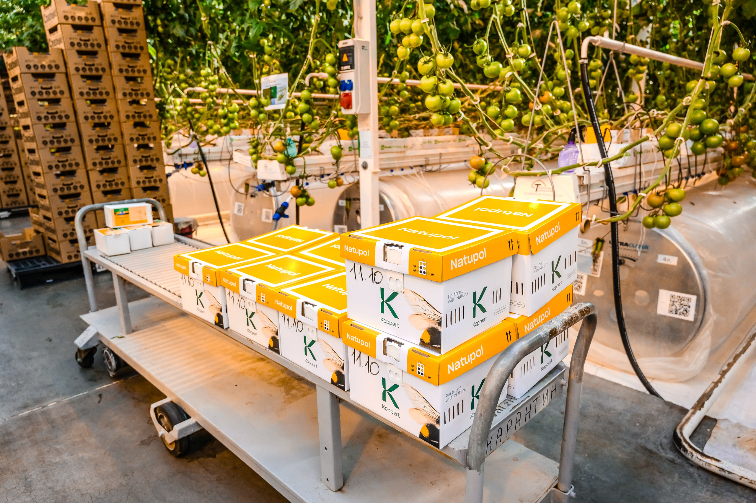 Тепличный комплекс «ПЕРМСКИЙ»