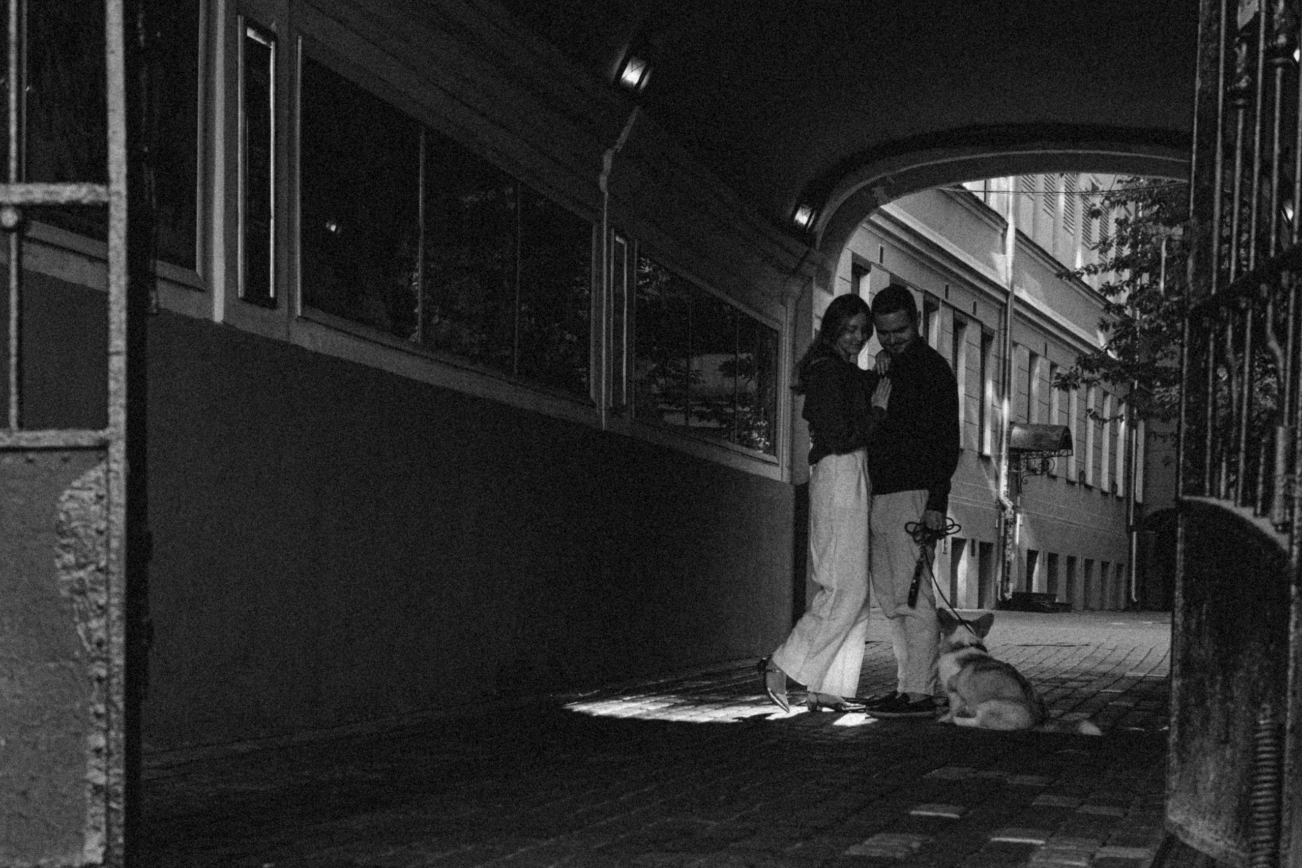 Даша, Рома и Лесли. Фотораф — анималист Мария Шистка