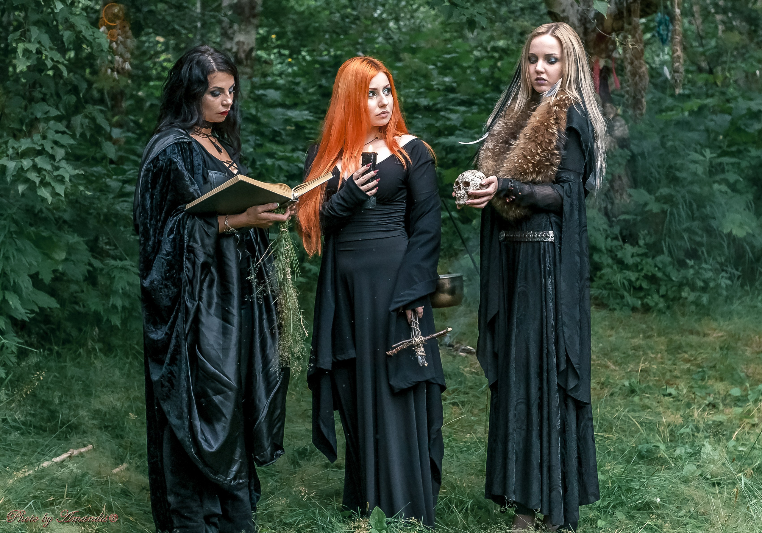 The witches. Репортажная съемка в Москве и области. Анималистика
