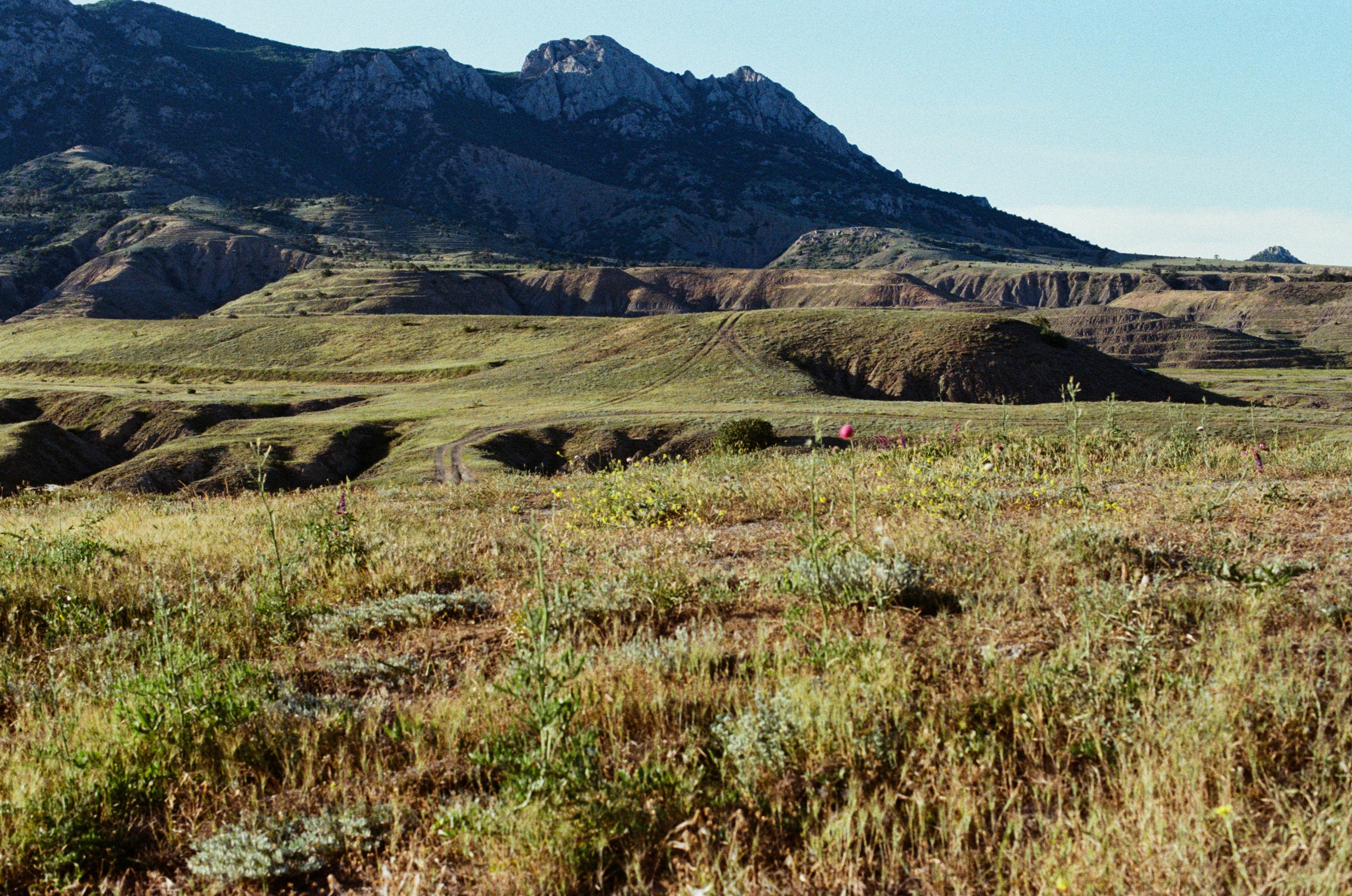 Kool-aid // ukraine, crimea VII. EVER EXPOSED