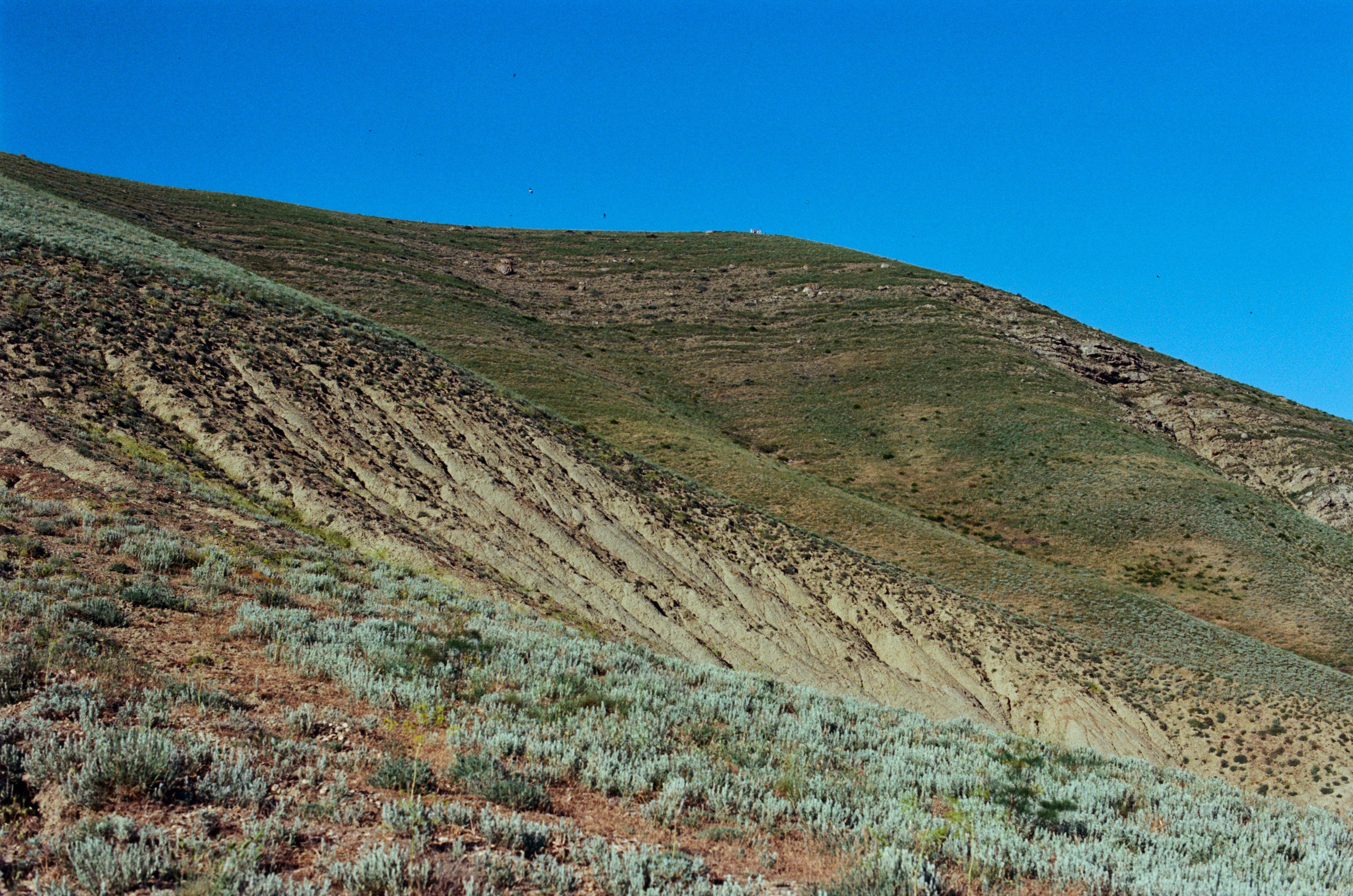 Kool-aid // ukraine, crimea. EVER EXPOSED
