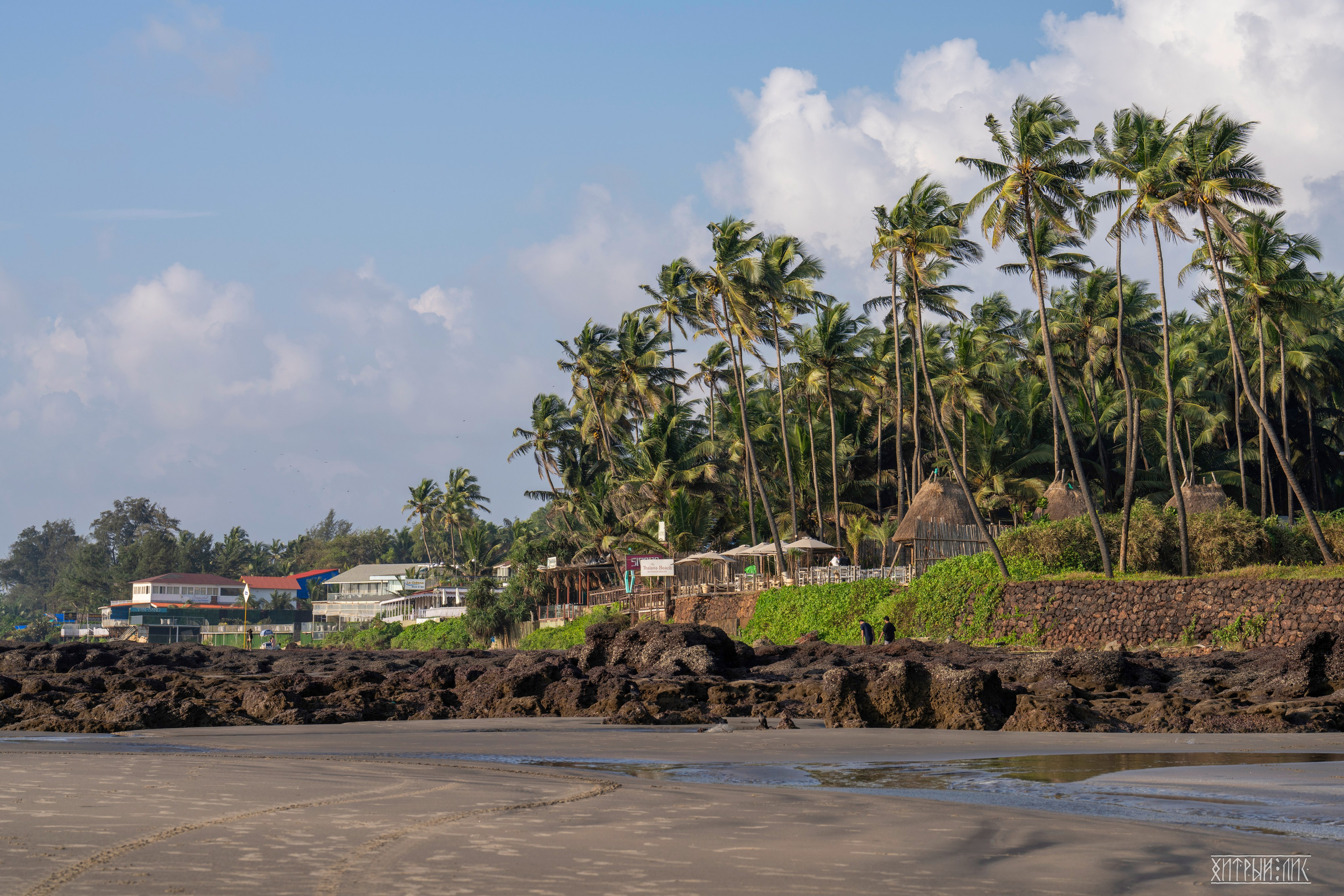 Гоа-Мумбаи. Фотограф-путешественник Самойлов Максим «Sly Fox»
