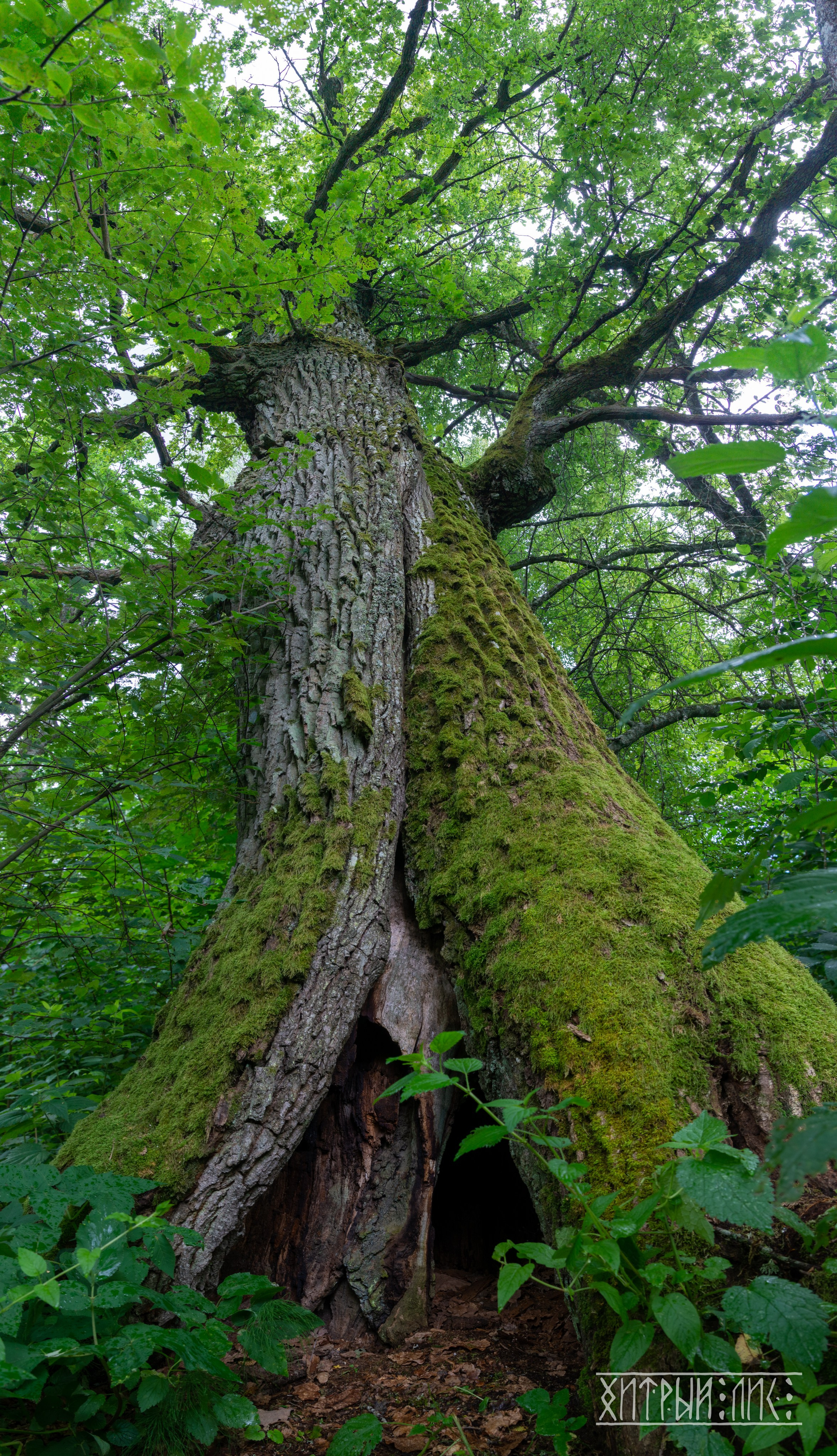 Беларусь. Фотограф-путешественник Самойлов Максим «Sly Fox»