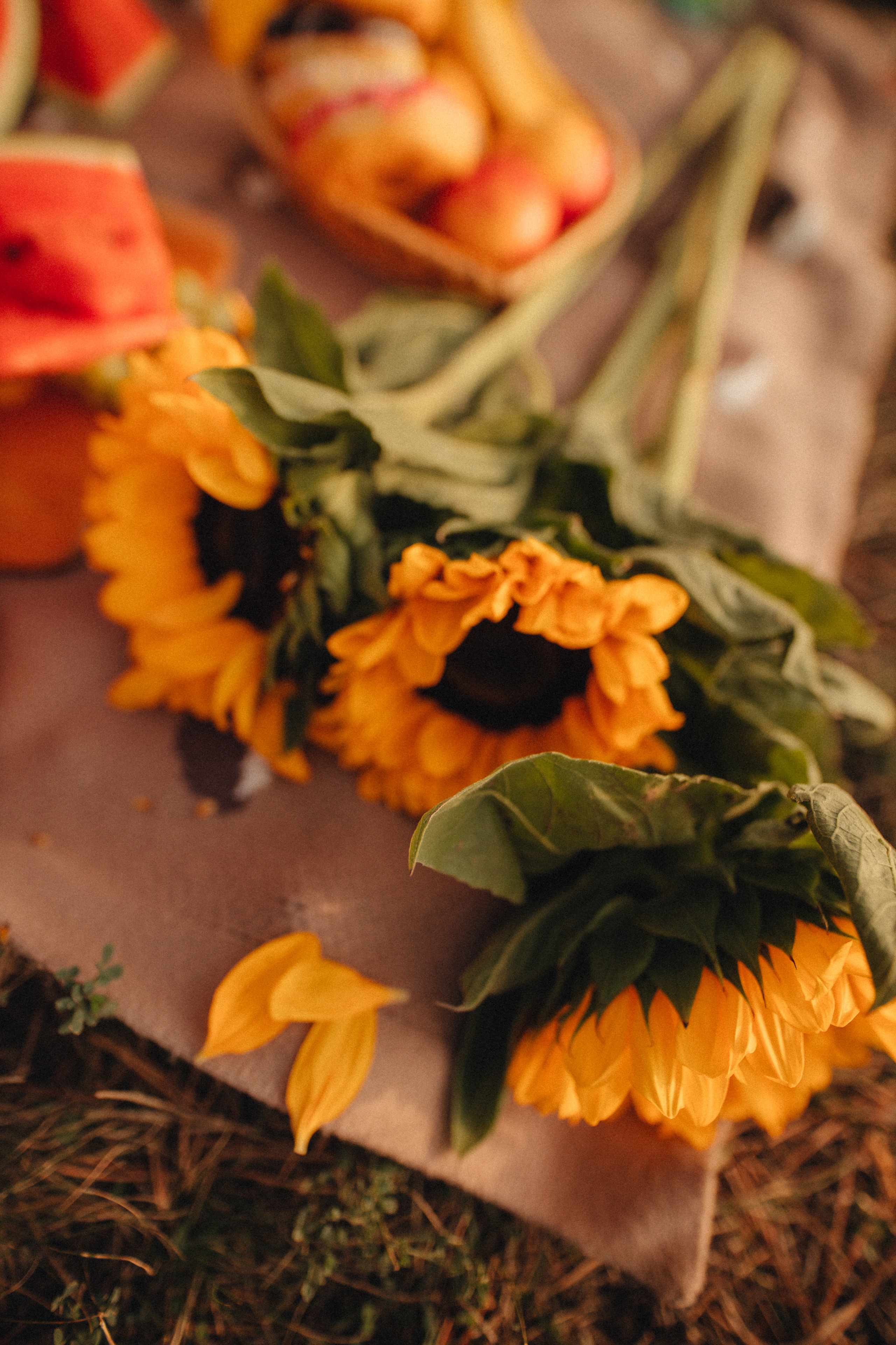 Маленькая Мира. Свадебный и семейный фотограф в Туле и области Маша Костина