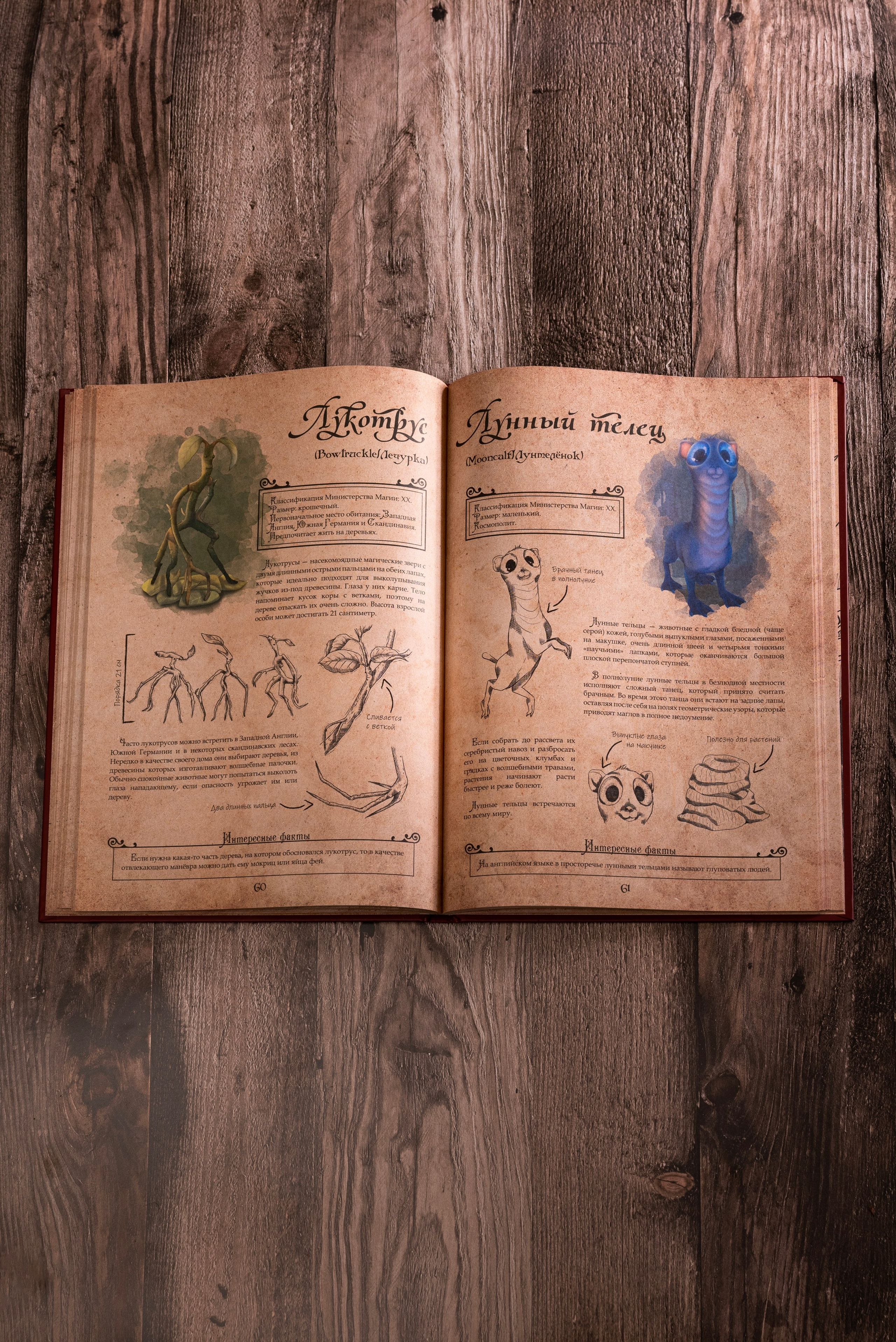 Книги по Гарри Поттеру. Предметный фотограф, фото для маркетплейсов Пятигорск, КМВ